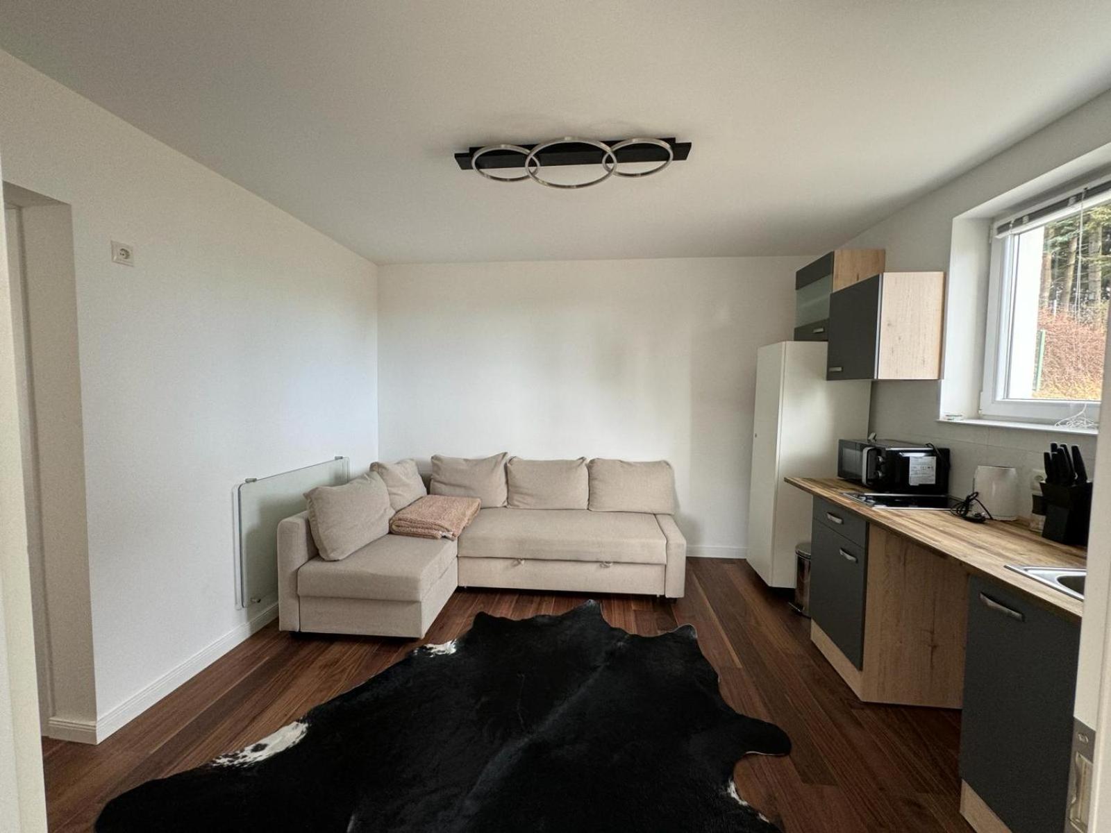 One-Bedroom Apartment photo 3