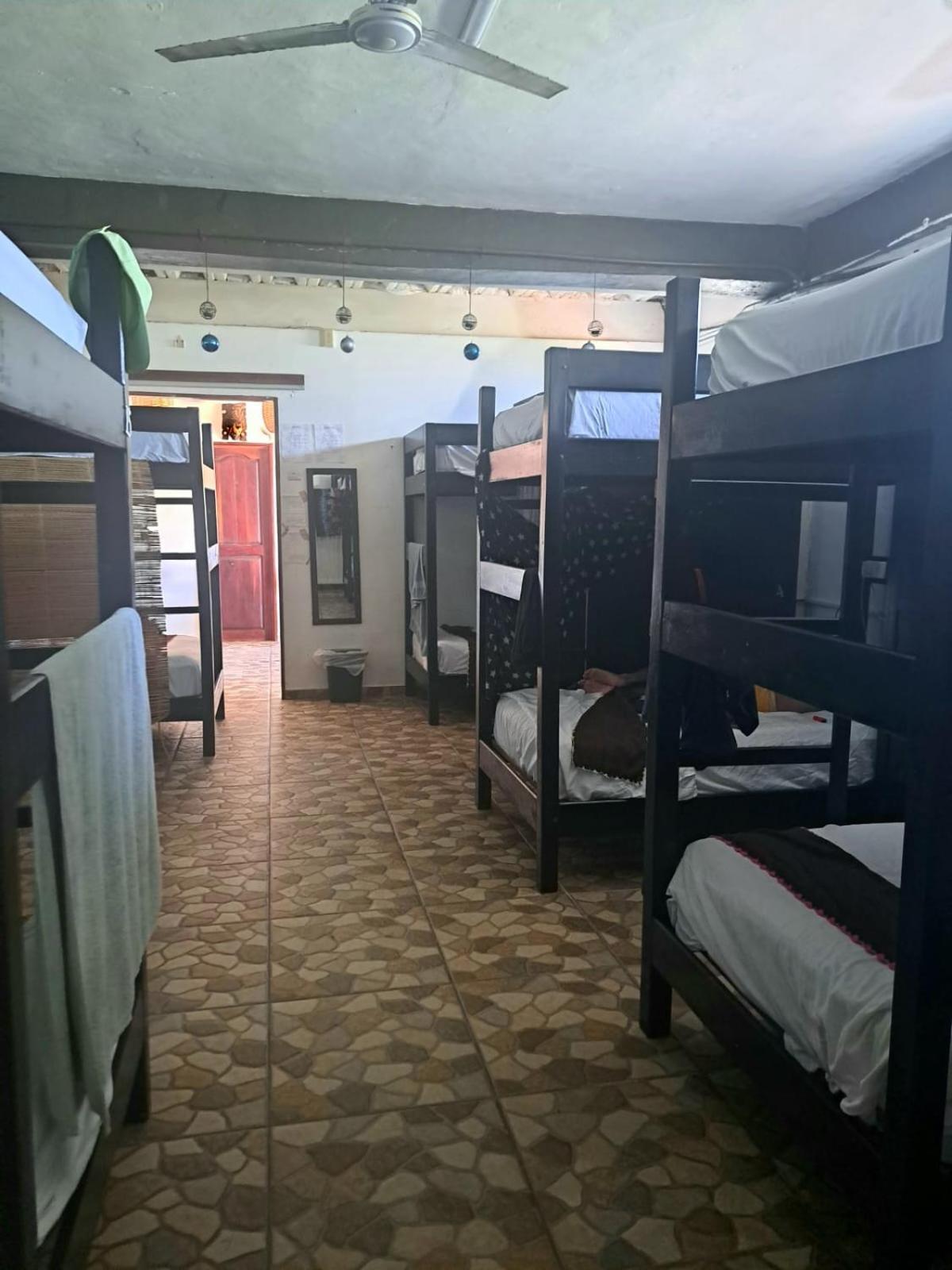 Single Bed In Mixed Dormitory Room photo 1