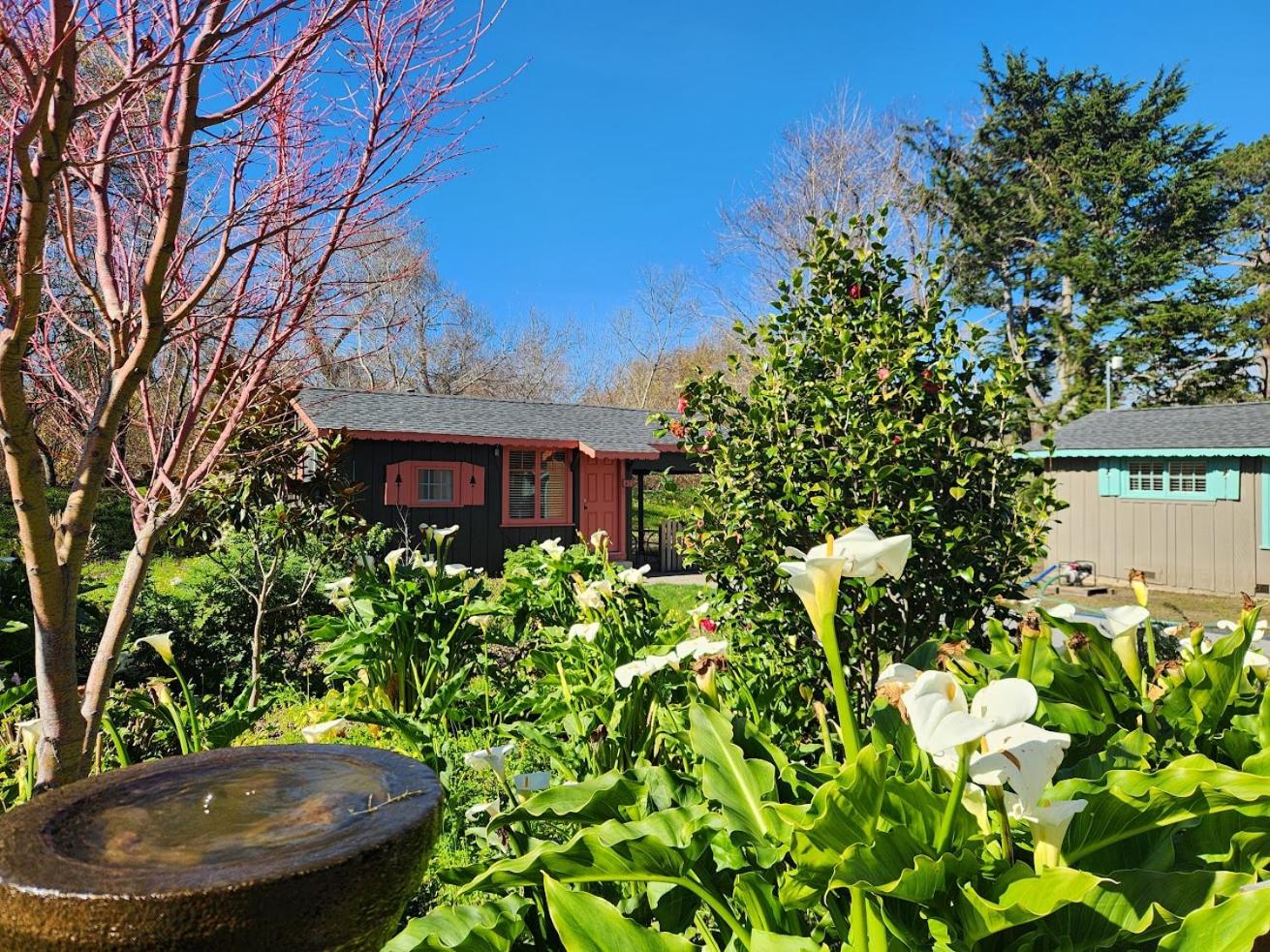 Studio Cottage - Photo 15