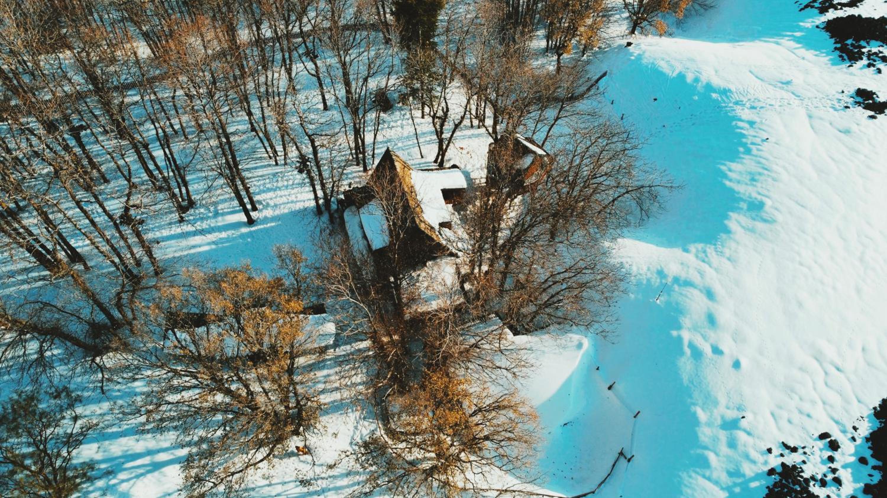 Chalet - Photo 50