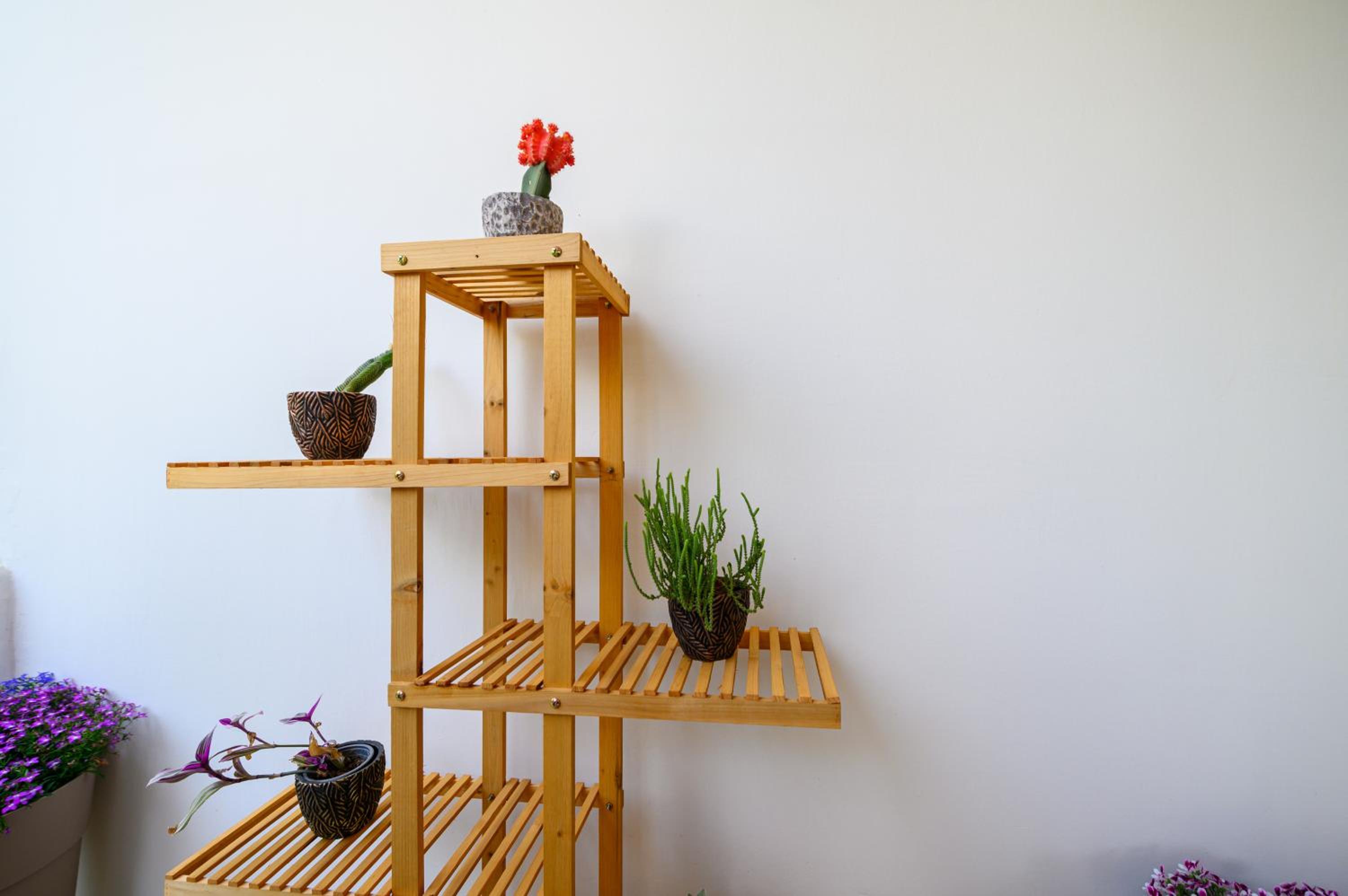 One-Bedroom House photo 2