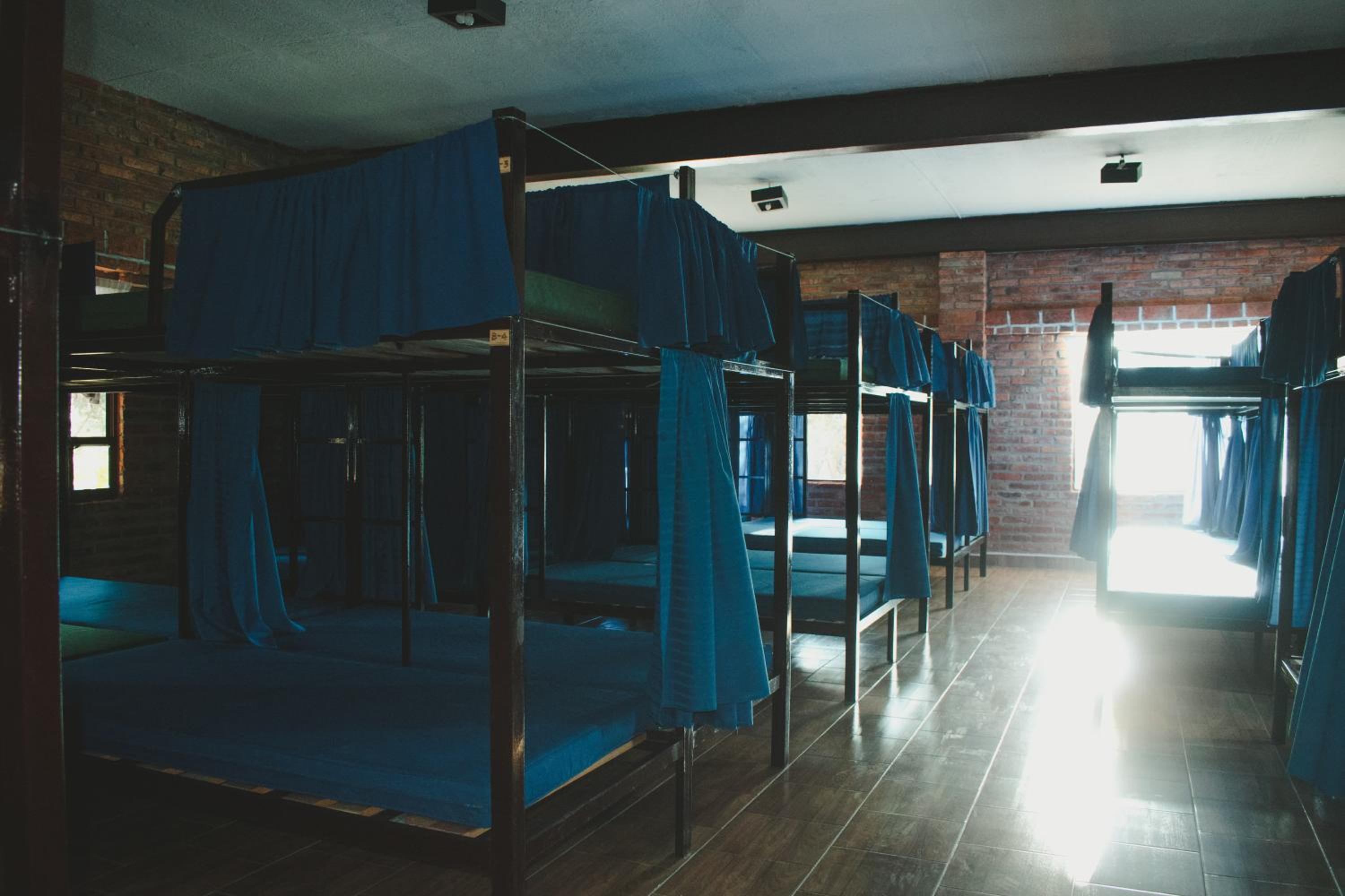 Single Bed In Mixed Dormitory Room photo 1