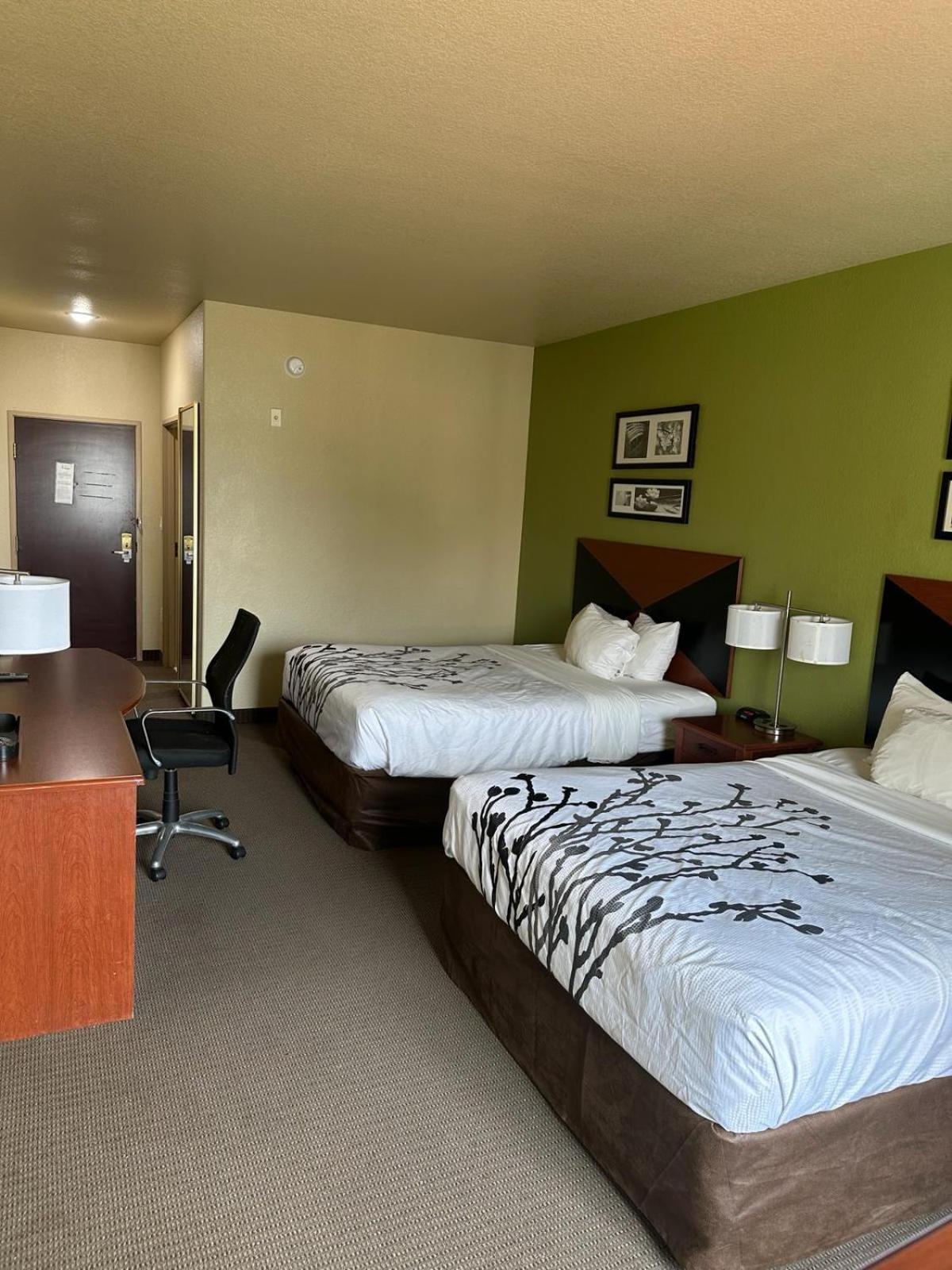 Queen Room with Two Queen Beds - Photo 8
