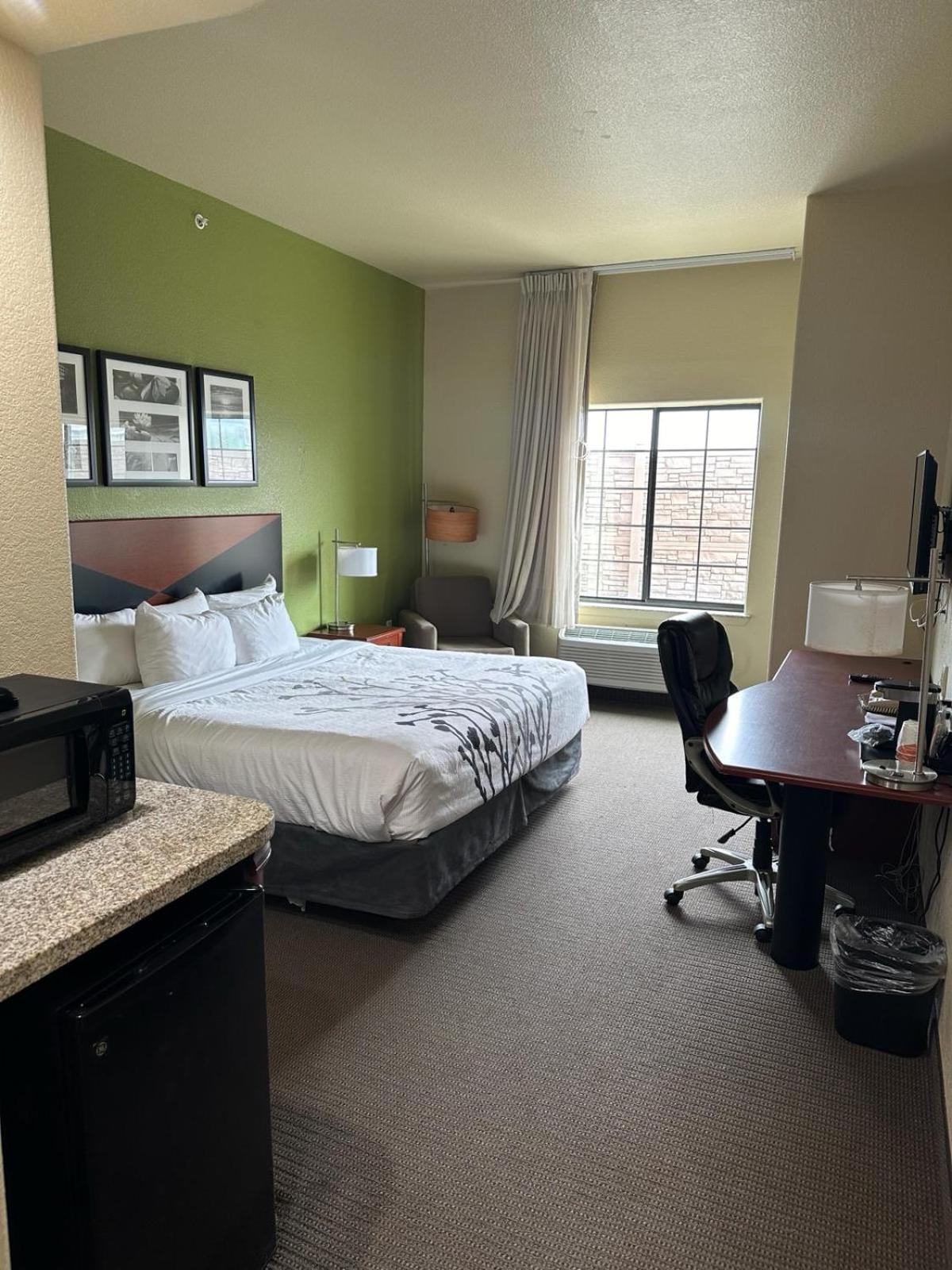 King Room - Photo 5