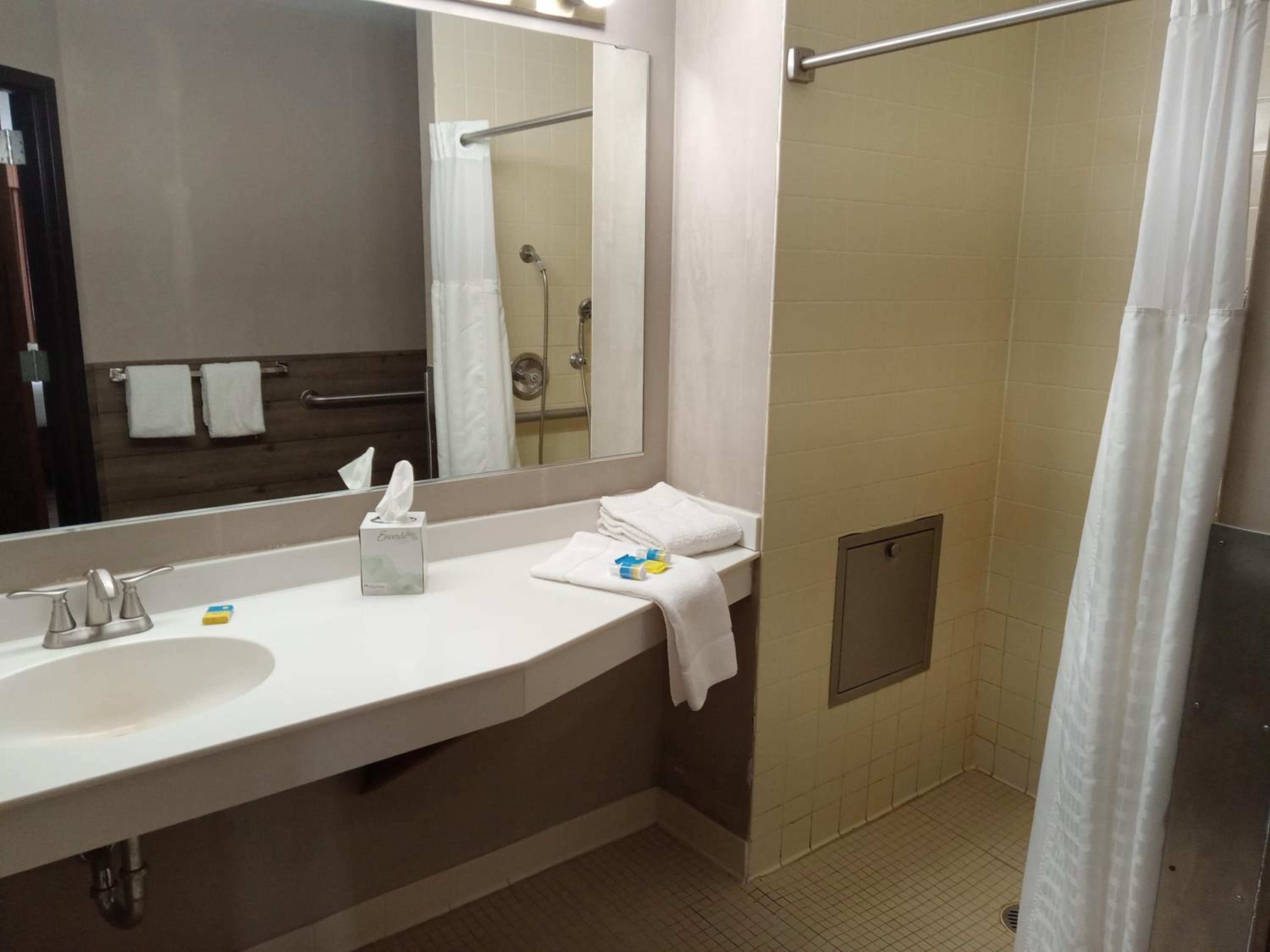 King Suite photo 2