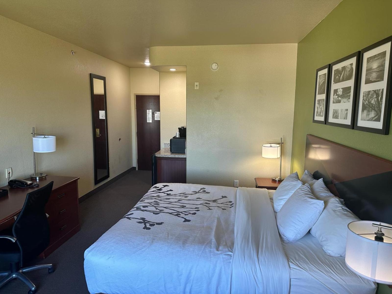 King Room - Photo 7
