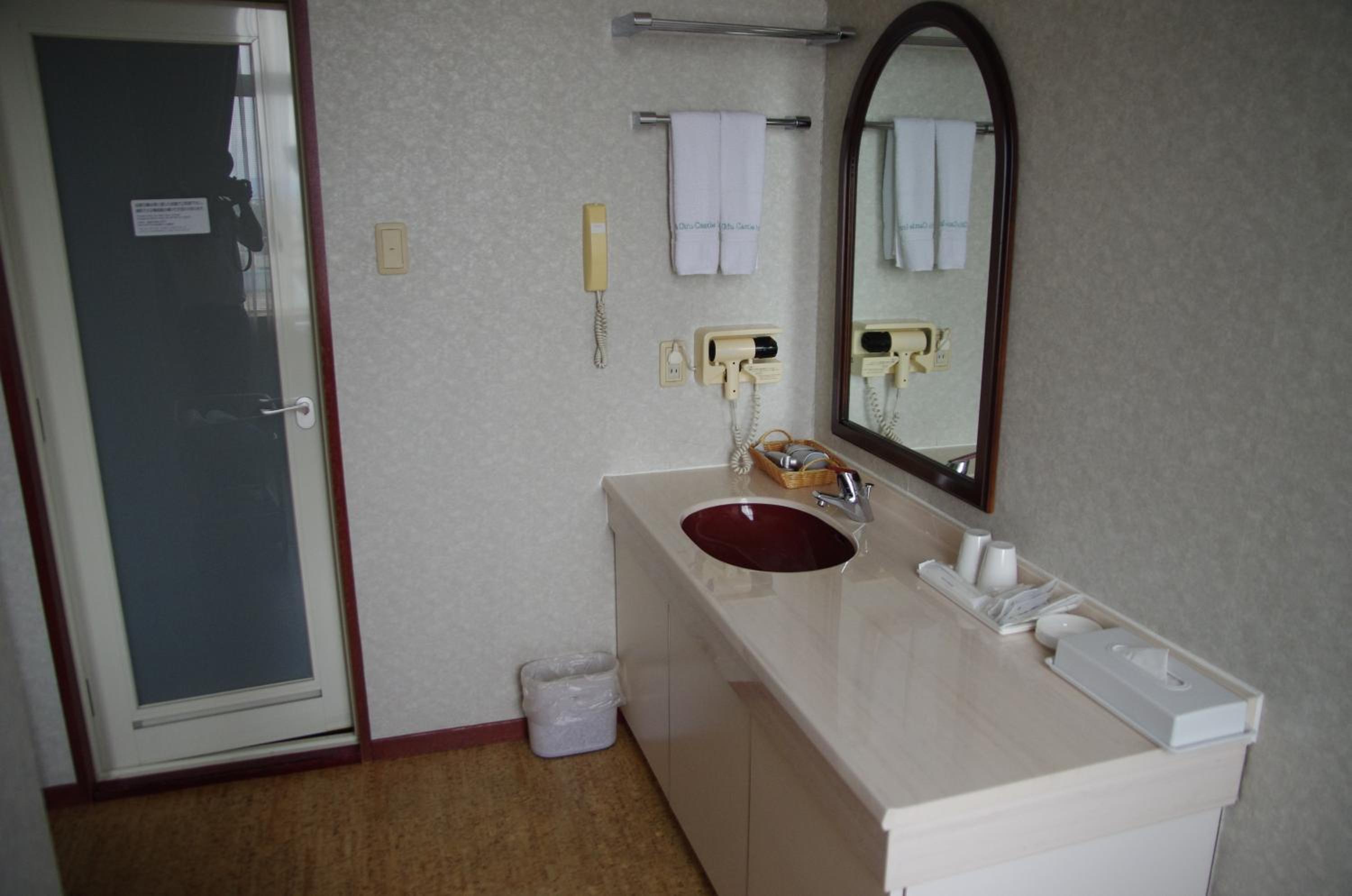Deluxe Twin Room photo 2