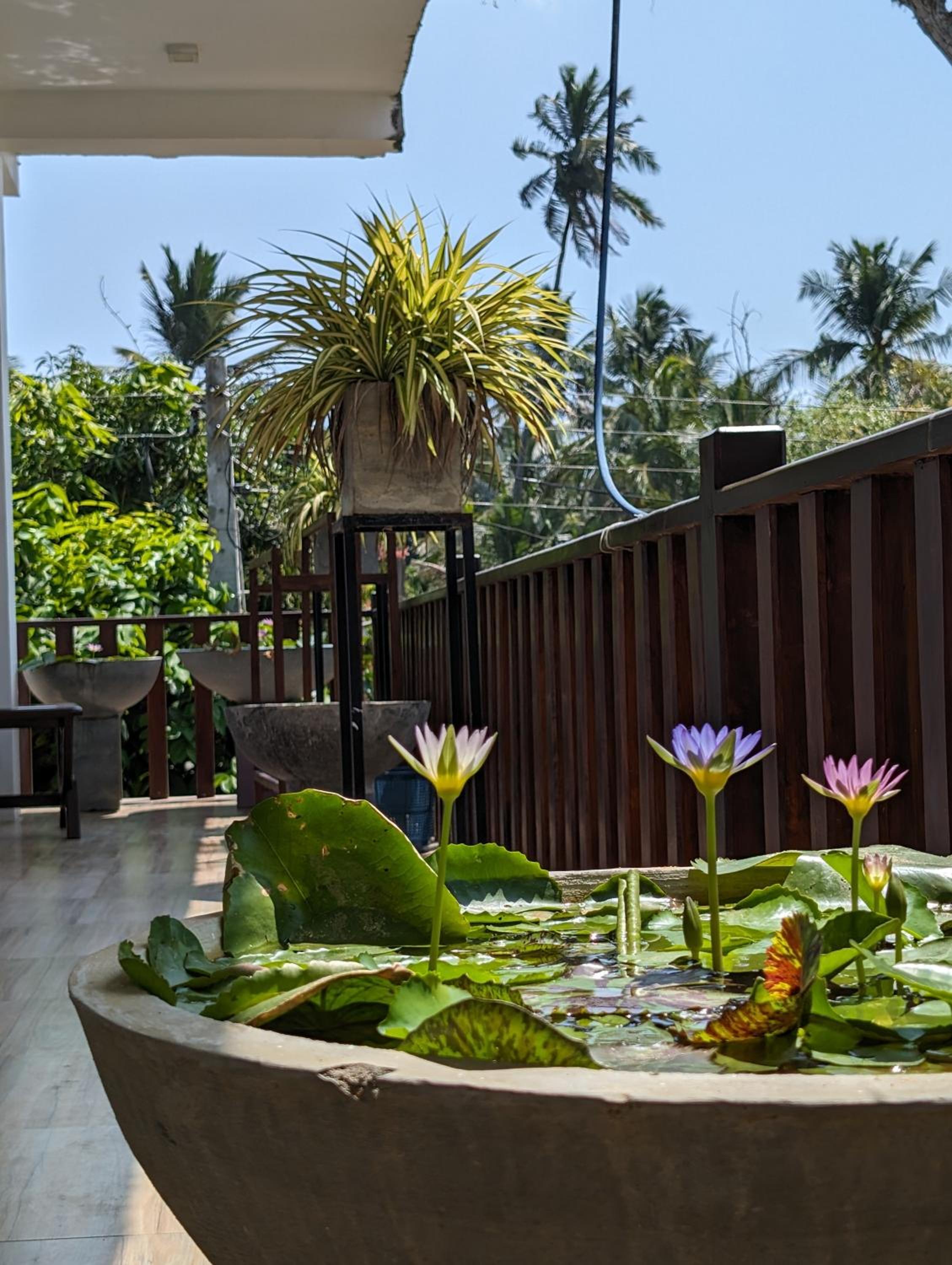 Deluxe Double Room with Balcony and Sea View photo 3