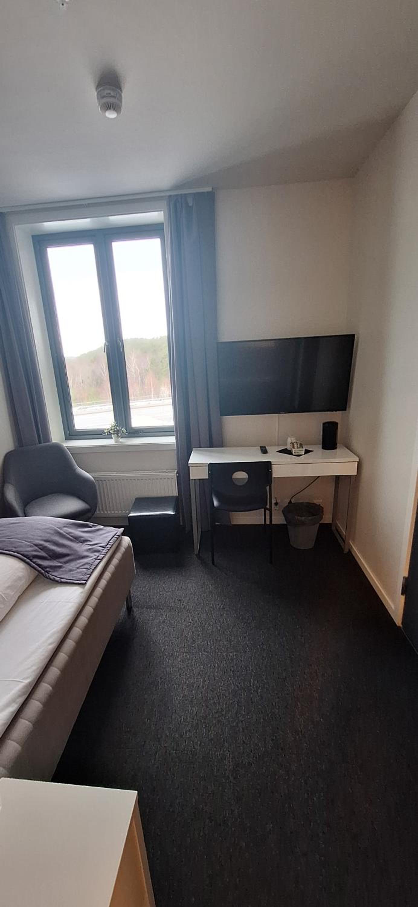 Single Room photo 1