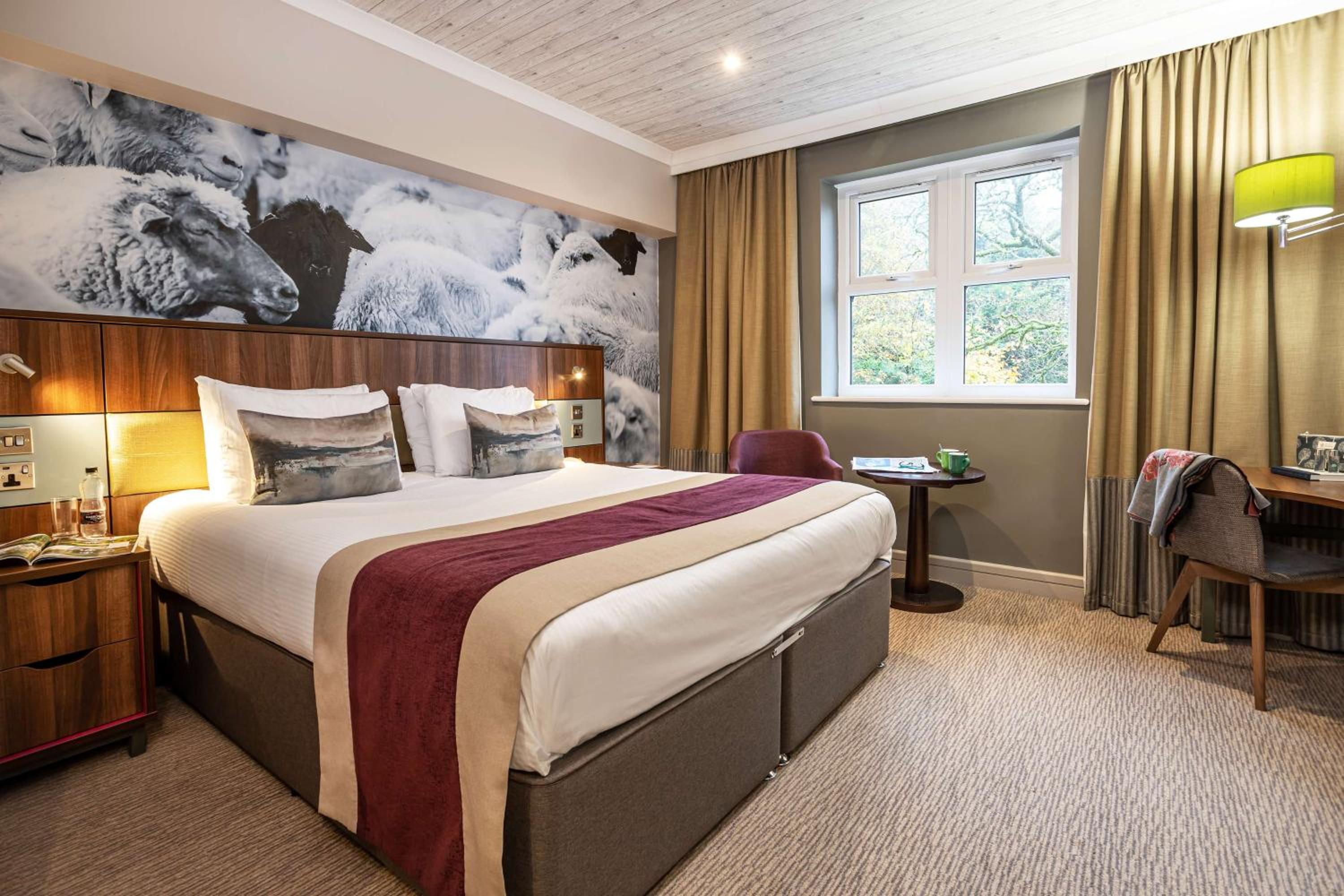 Standard King Room - Non-Smoking  - Photo 1