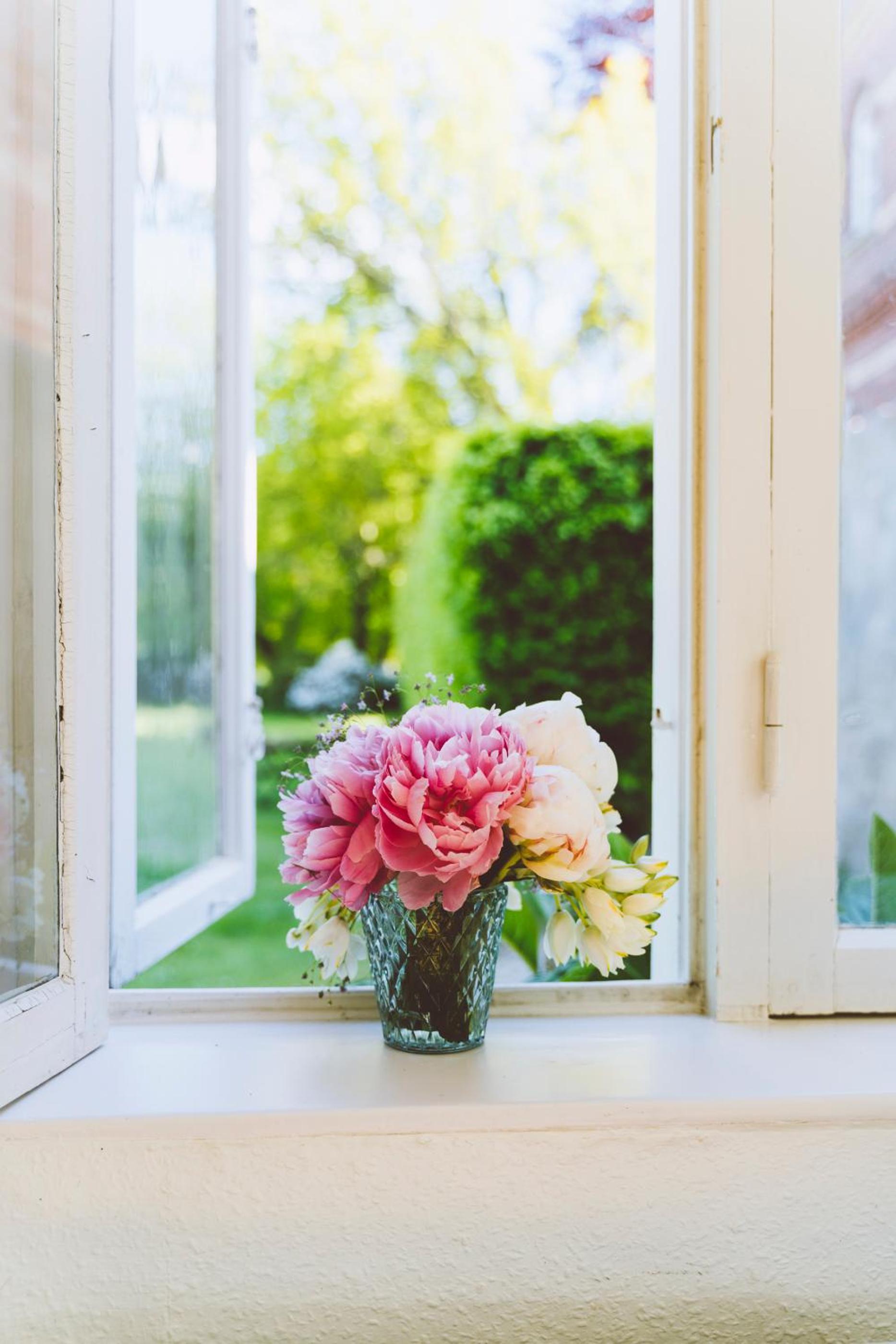 Apartment with Garden View photo 3
