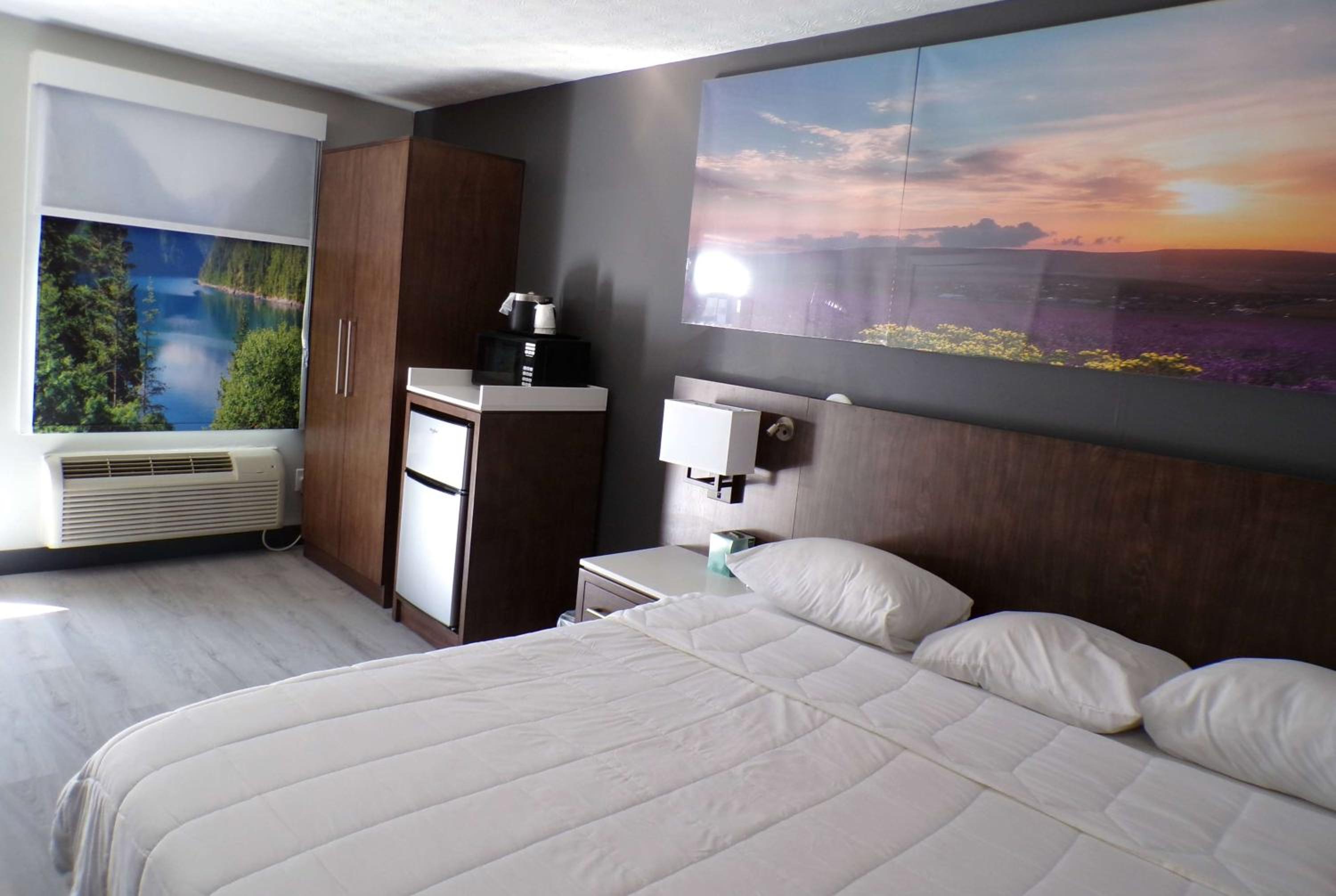King Studio Suite with Roll-In Shower - Mobility Accessible/Non-Smoking - Photo 1