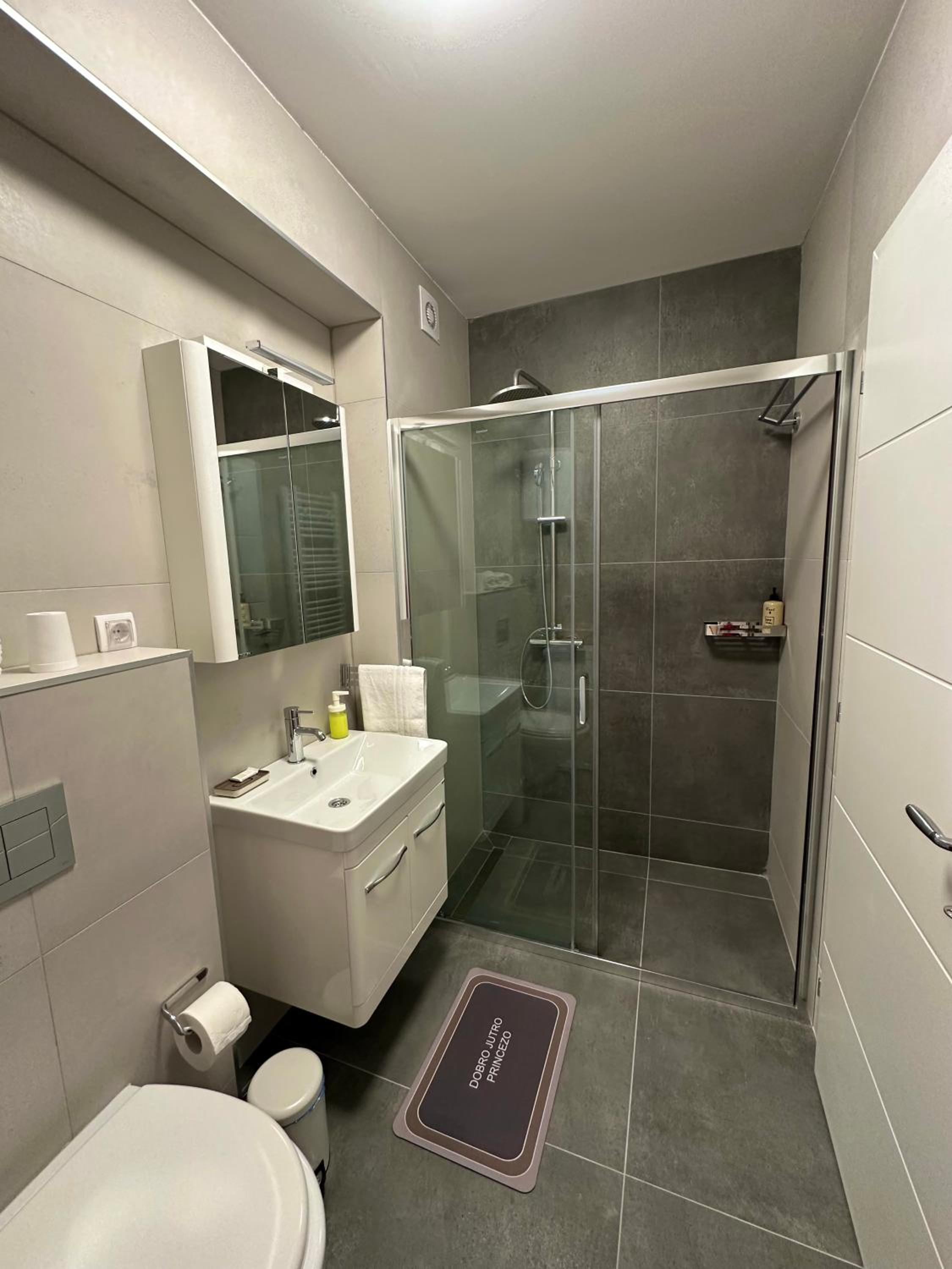 One-Bedroom Premium Apartment photo 3