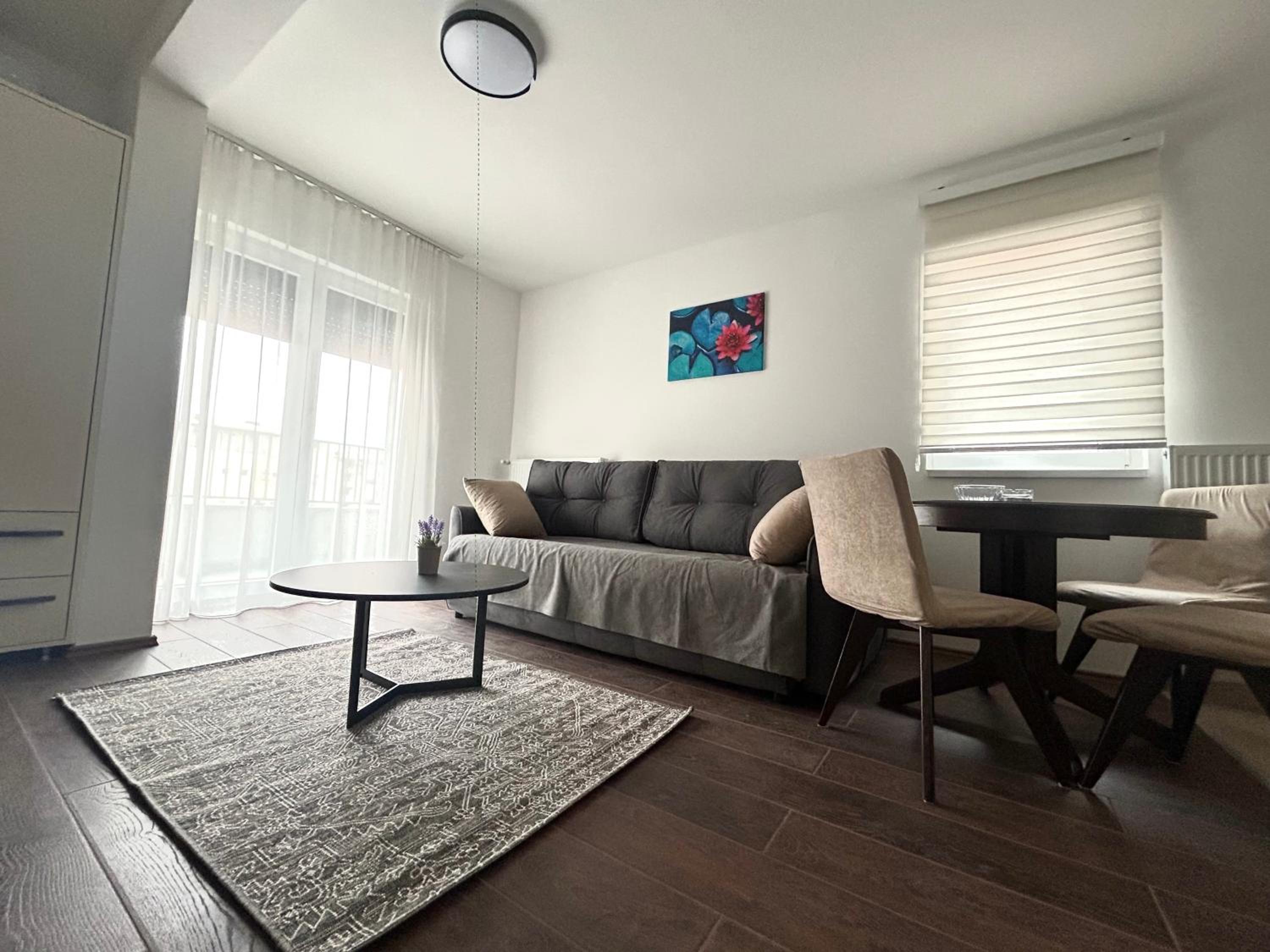 Studio with Terrace photo 1