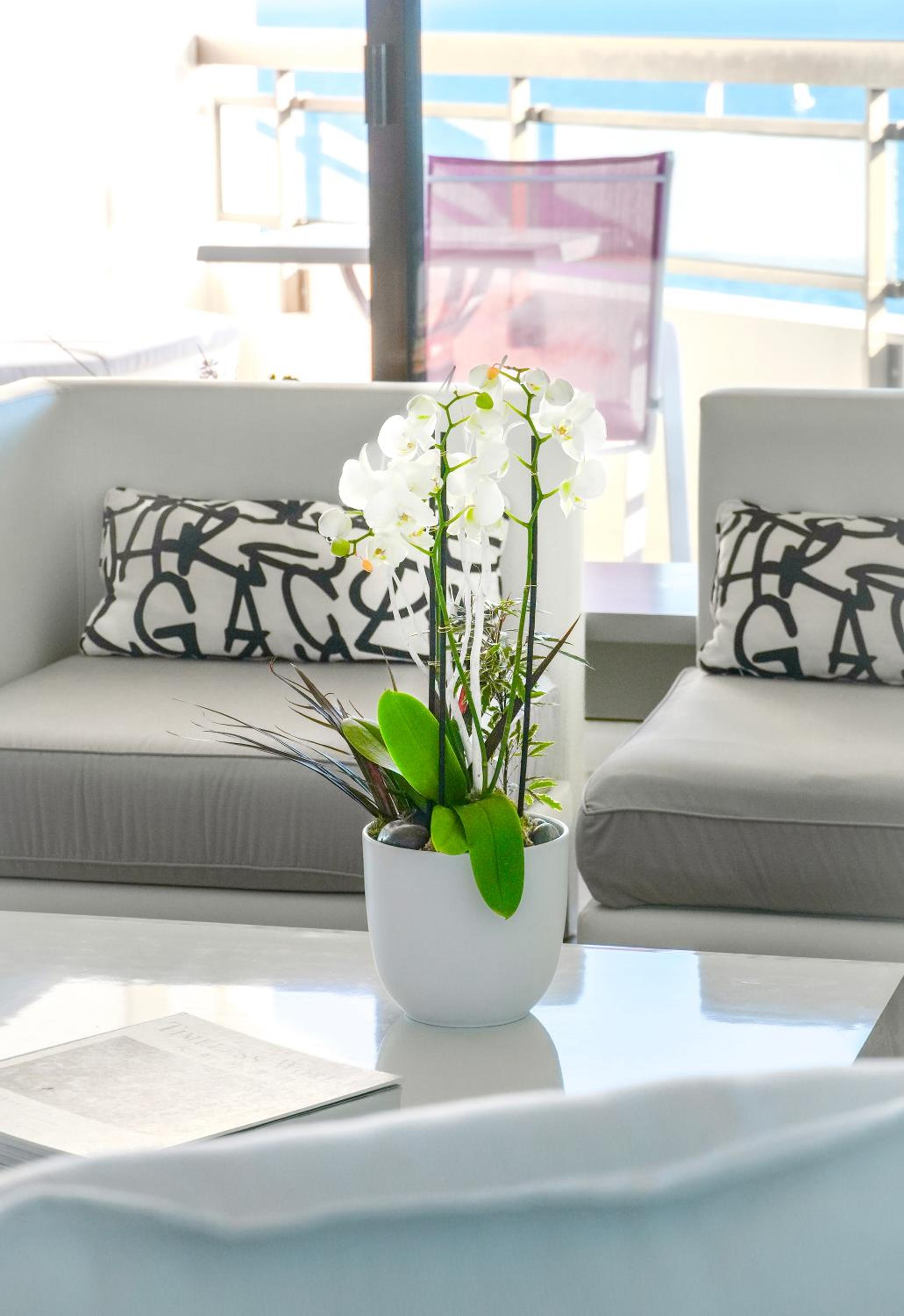 Superior Suite - One King Bed, panoramic vie w of the sea and Bay of Cannes with terraces - Photo 11