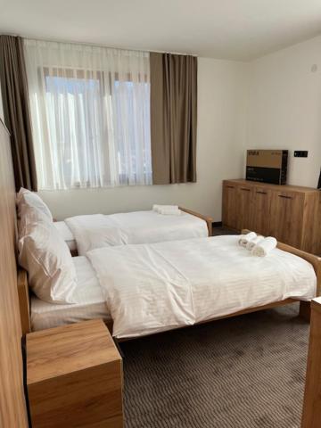 Twin Room with Mountain View