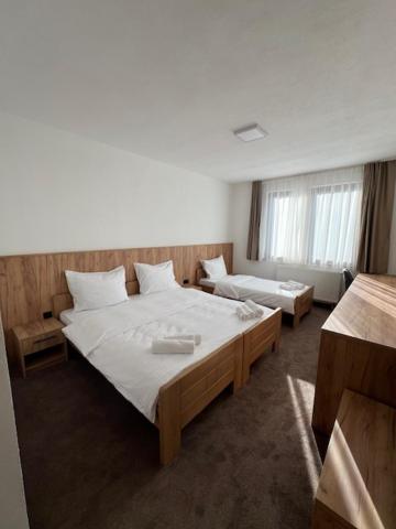 Triple Room with Mountain View