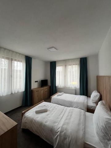 Twin Room with Mountain View photo 3