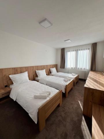 Triple Room with Mountain View photo 2