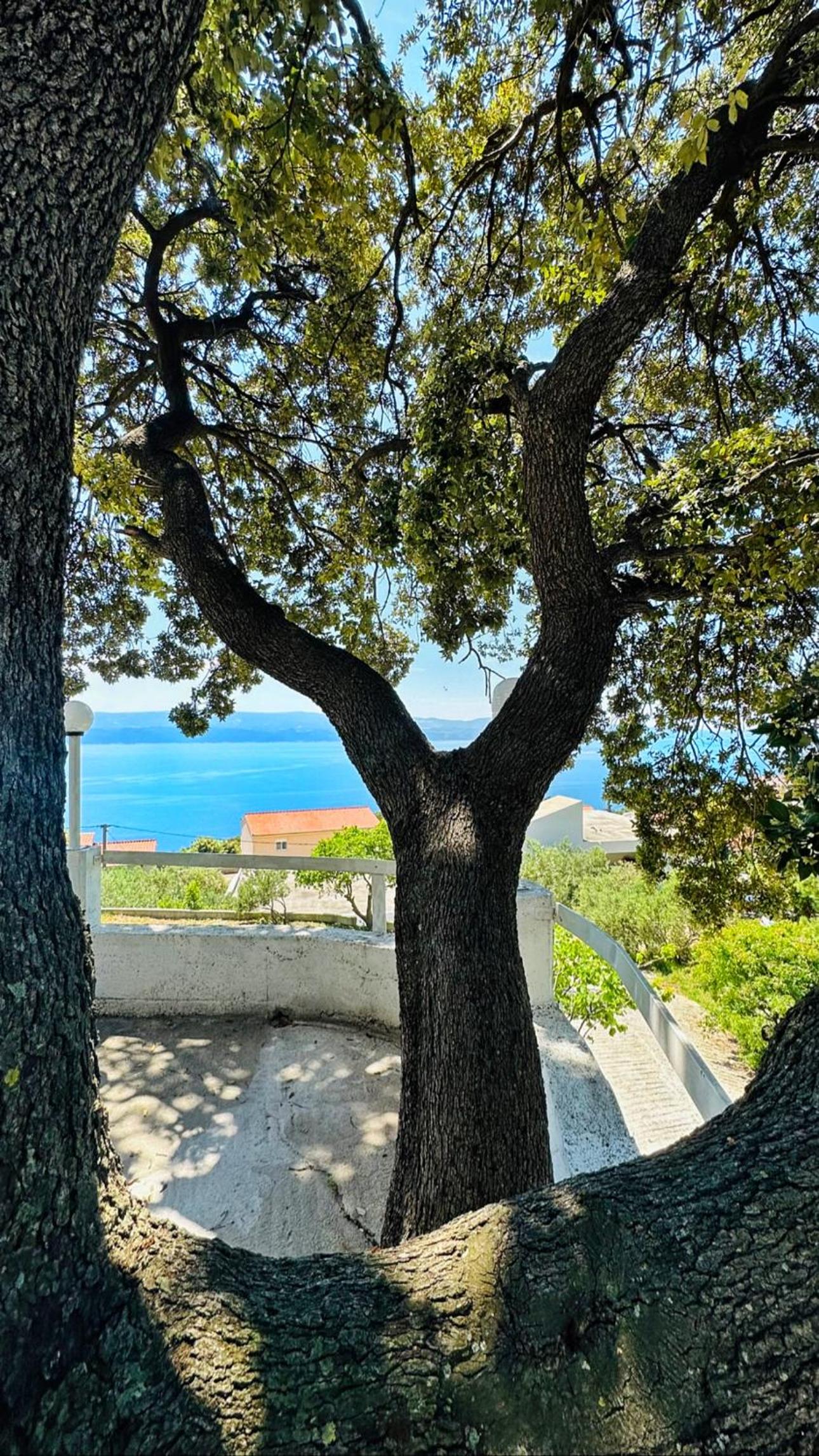 Apartment with Sea View photo 3