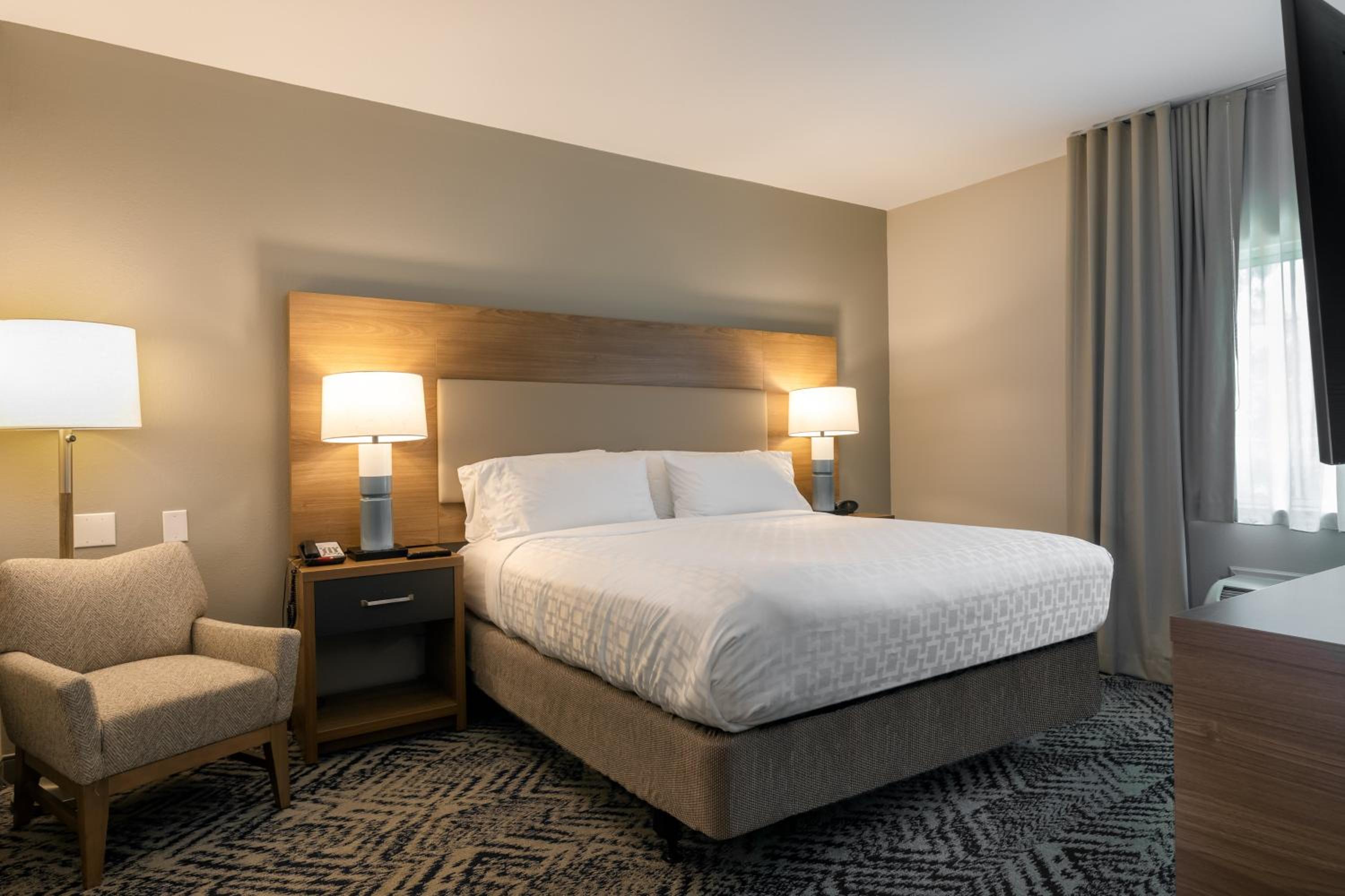 One-Bedroom Suite - Photo 3