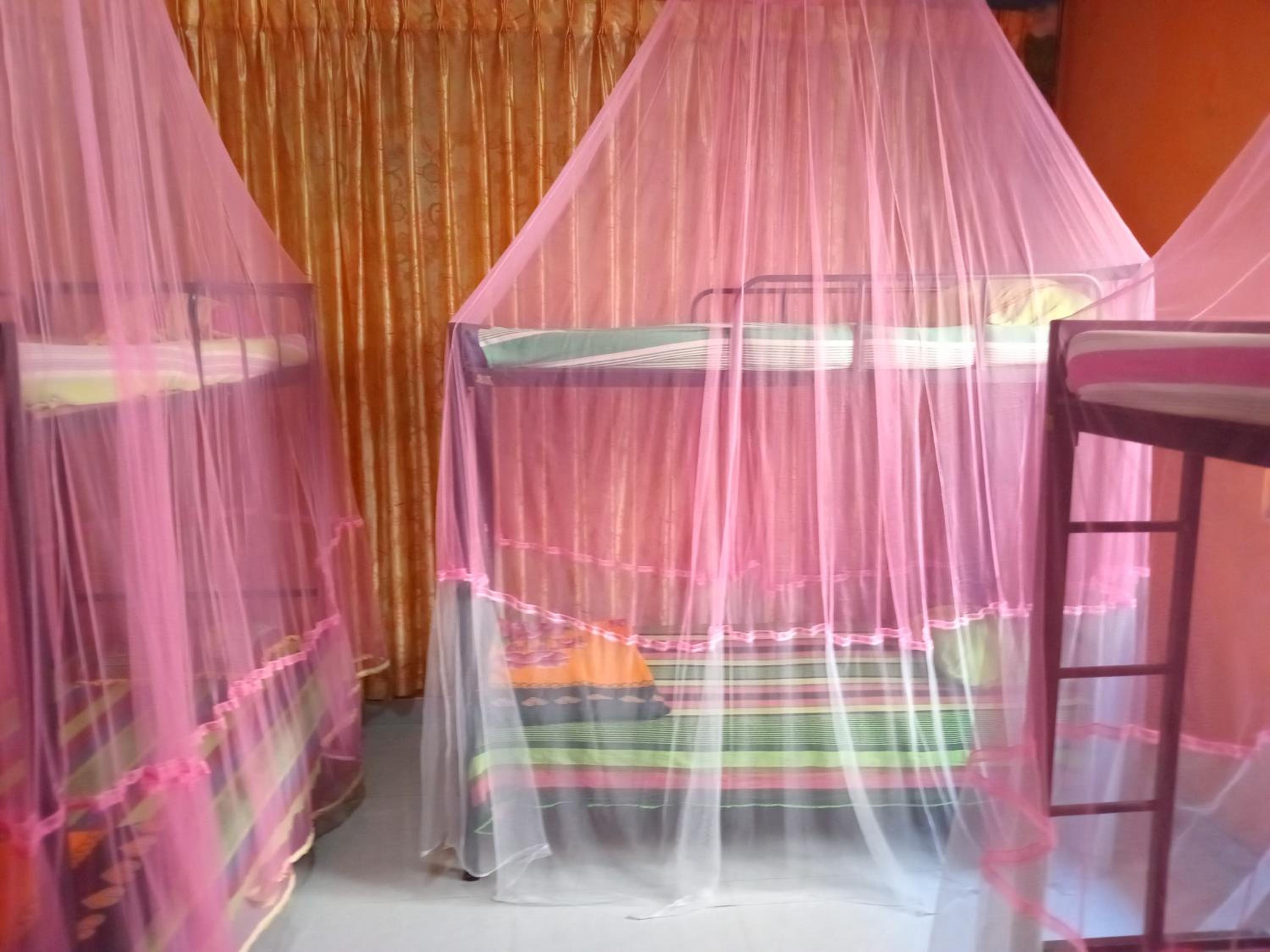 Bed in 6-Bed Mixed Dormitory Room photo 2