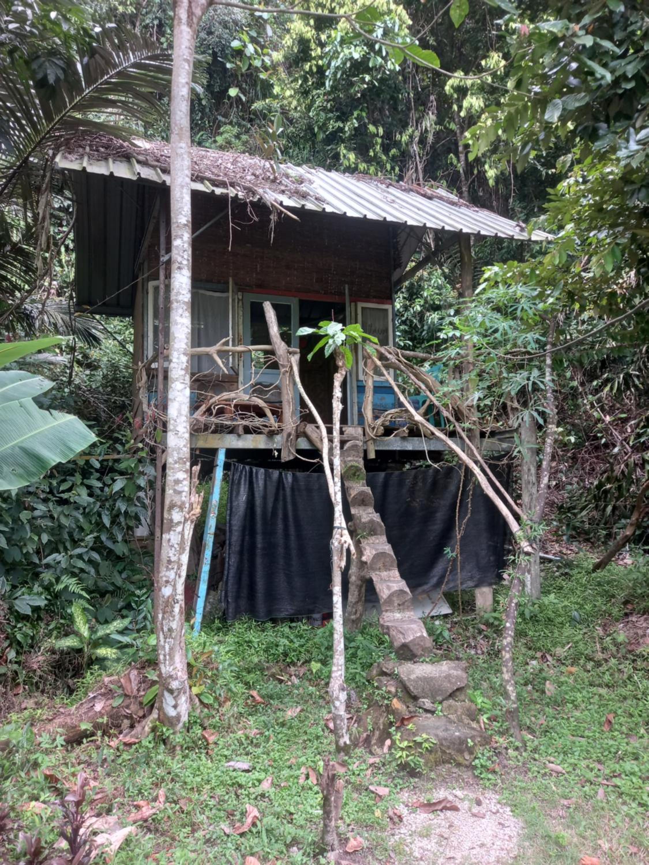 Deluxe Bungalow with Sea View - Photo 1