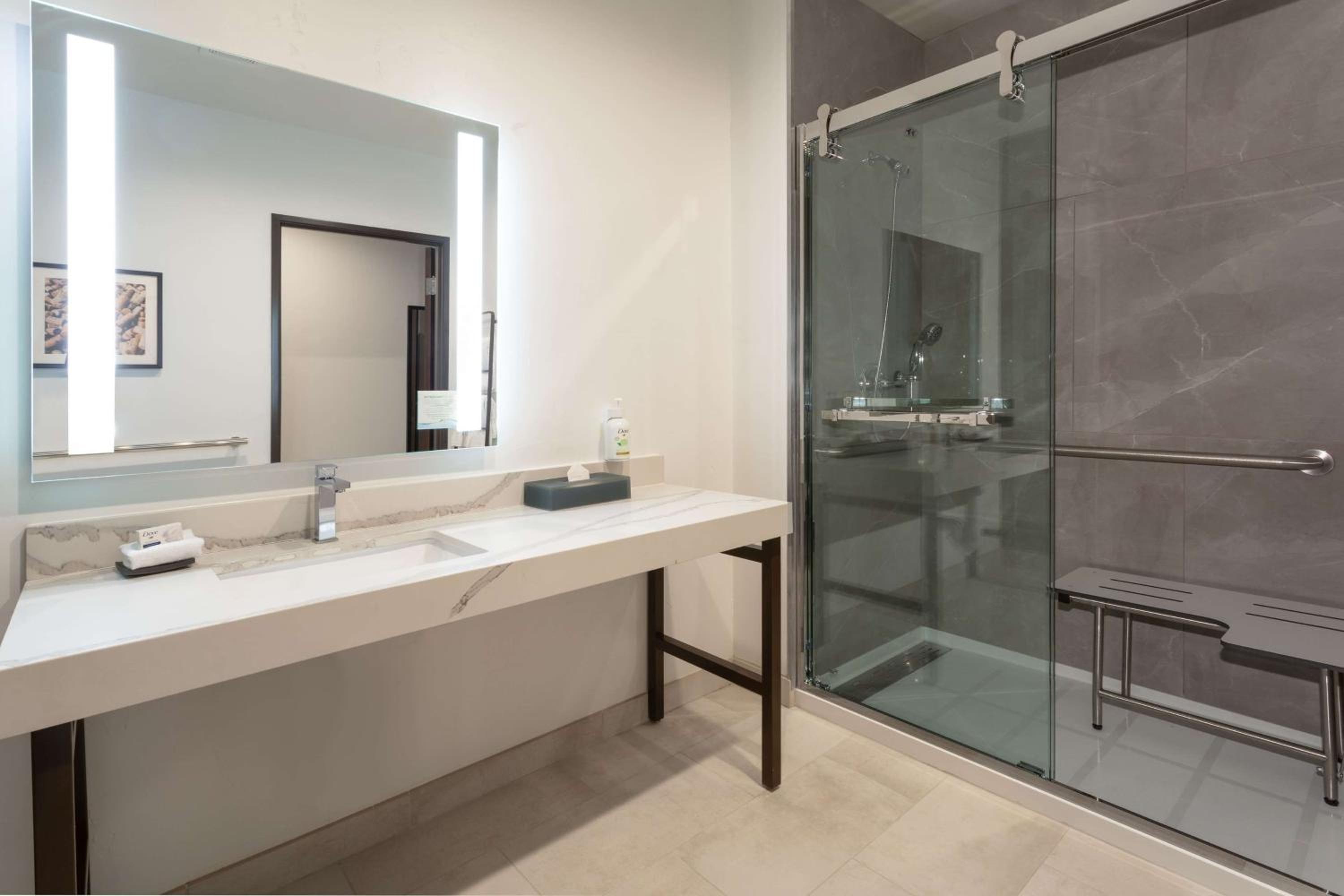 1 King Bed, Mobility/Hearing Accessible Room, Roll-In Shower, Non-Smoking - Photo 5