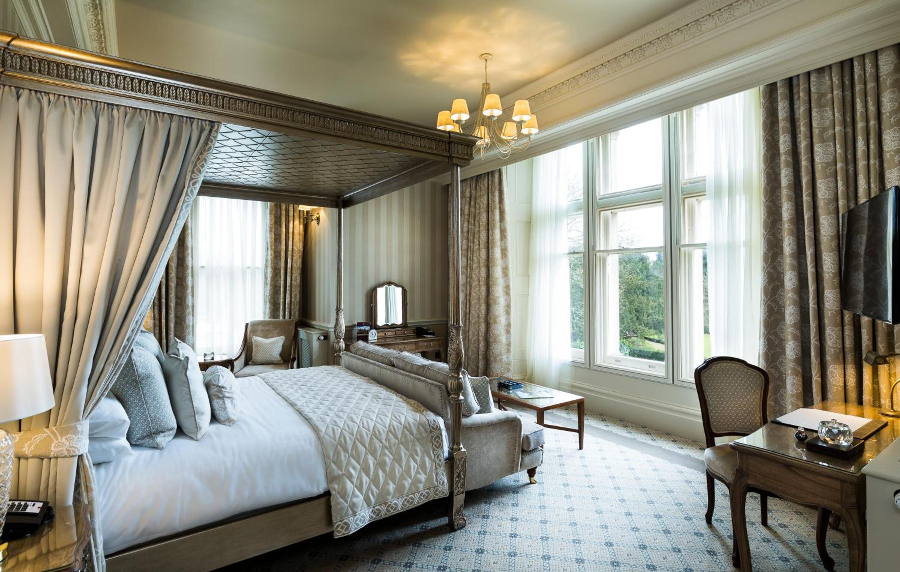 Suite - Photo 2