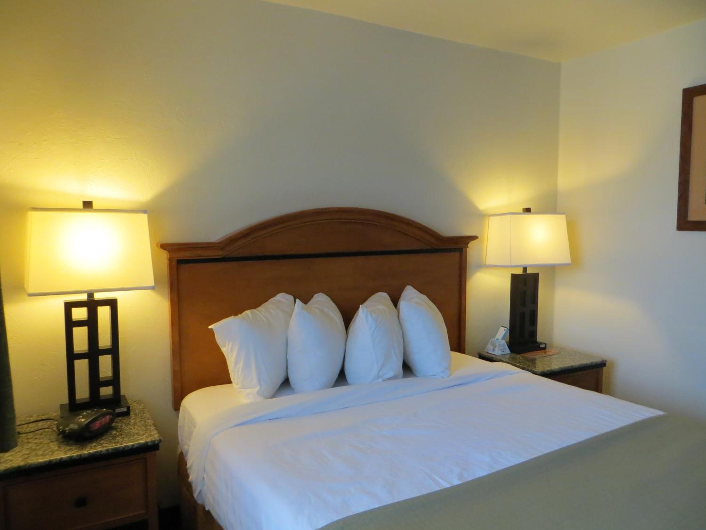 Deluxe King Suite - Non-Smoking - Photo 1
