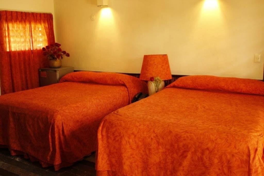 Standard  Room (no kitchen) - Photo 4