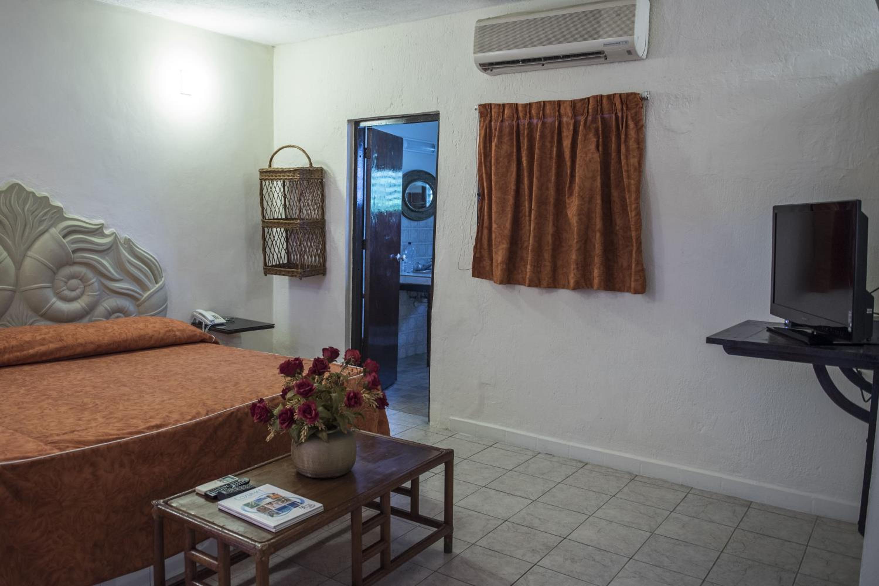 Standard  Room (no kitchen) - Photo 3