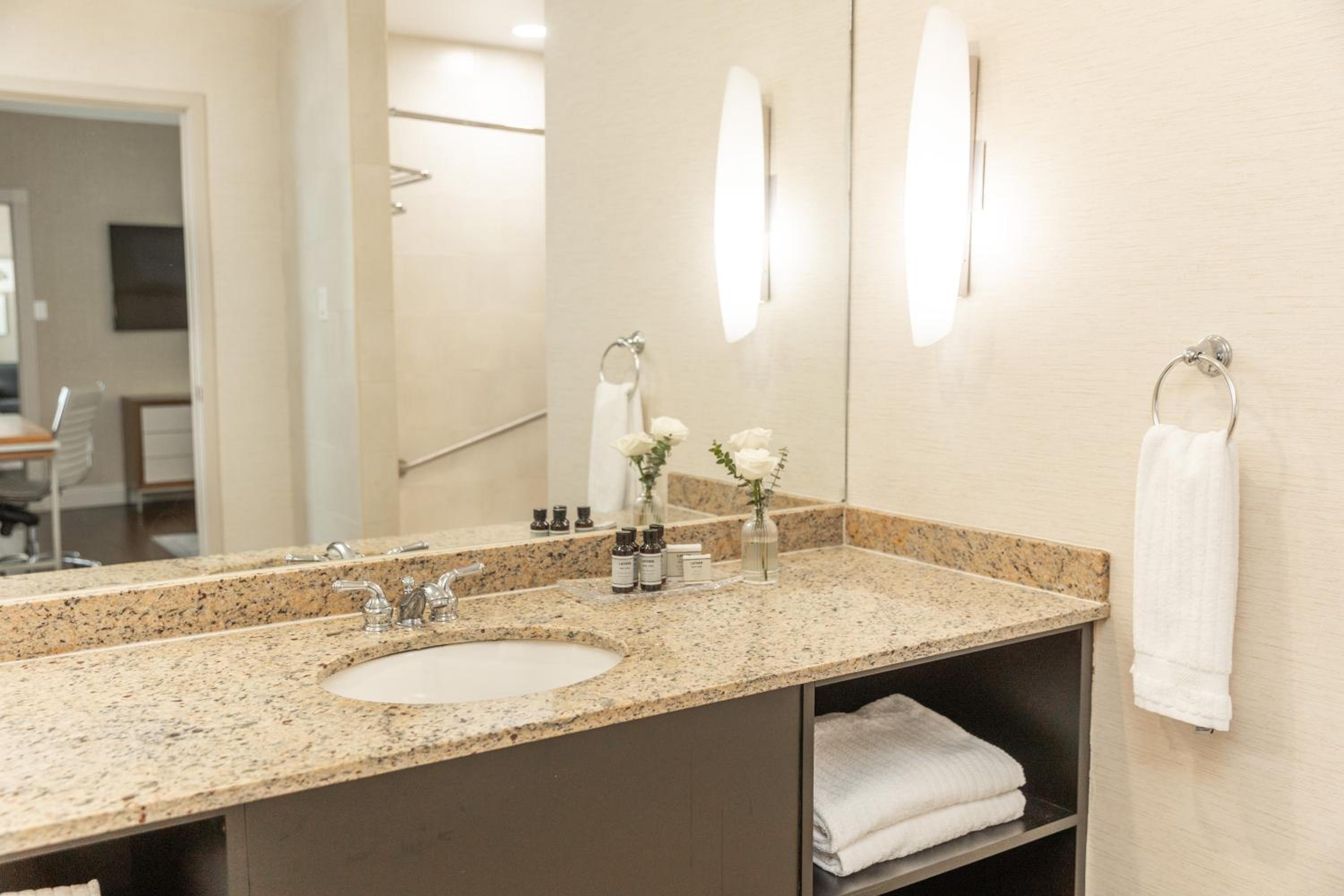 One-Bedroom Suite - Photo 8