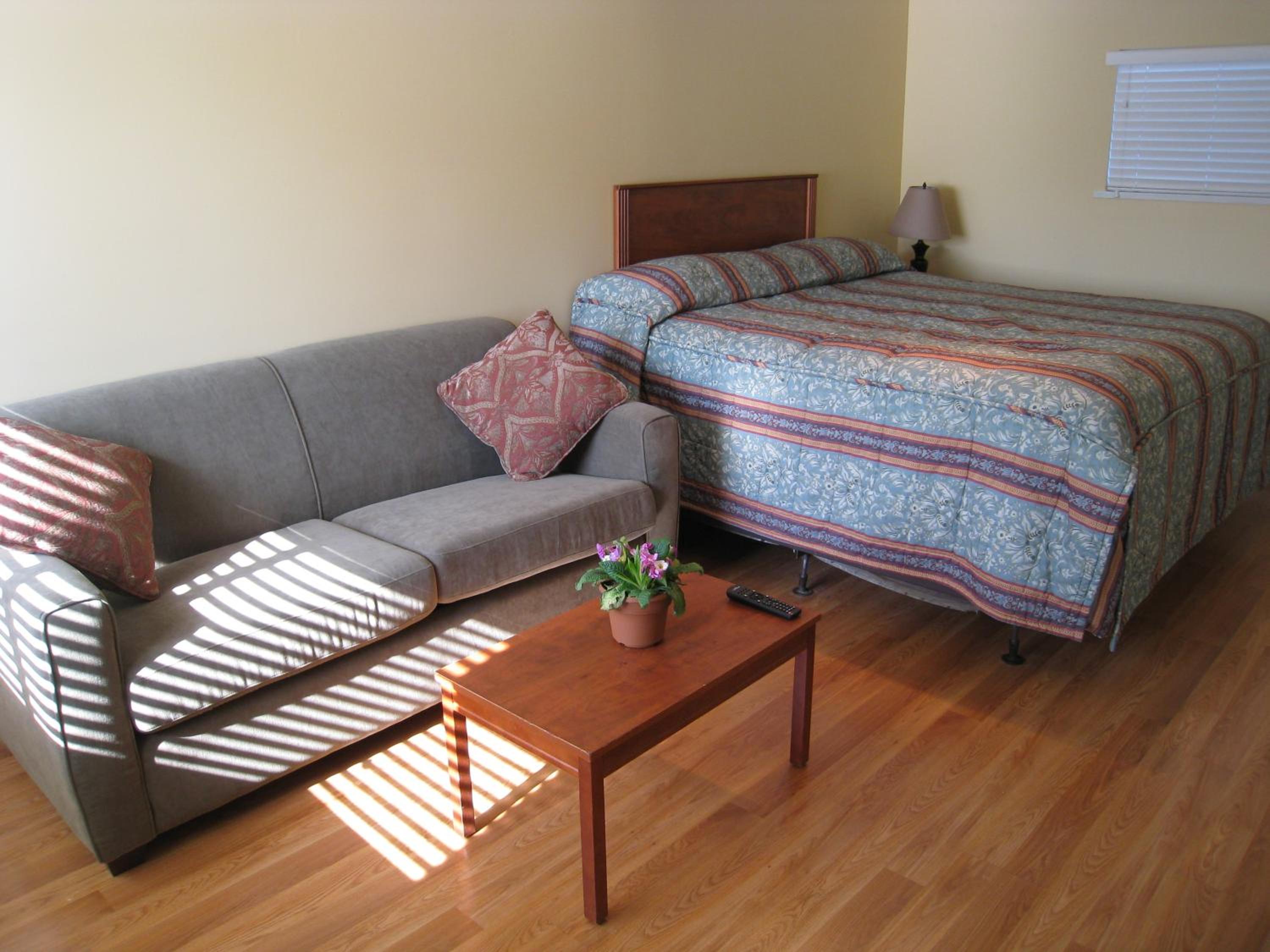 King Room photo 1
