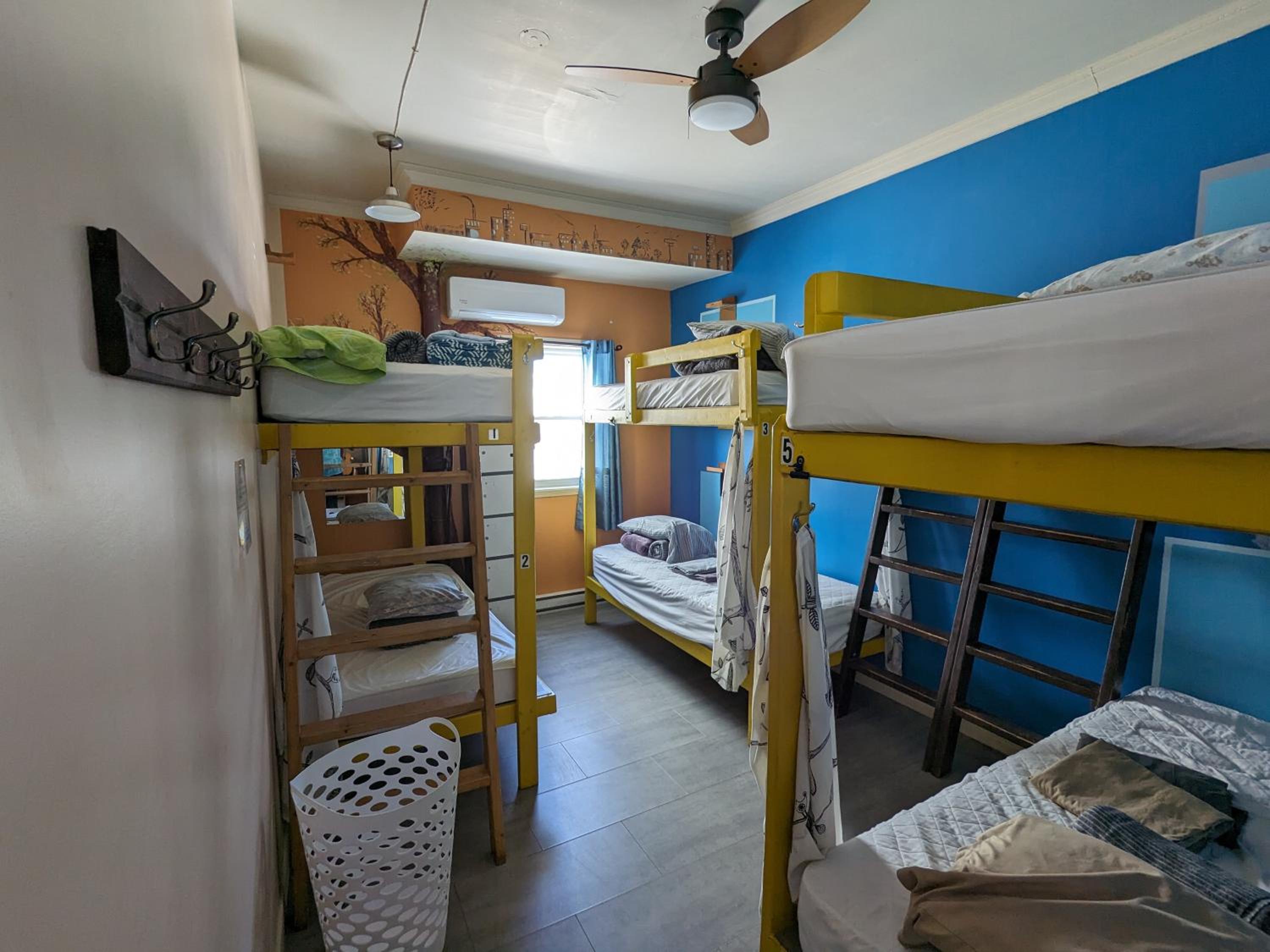 Bed in 6-Bed Dormitory Room photo 1