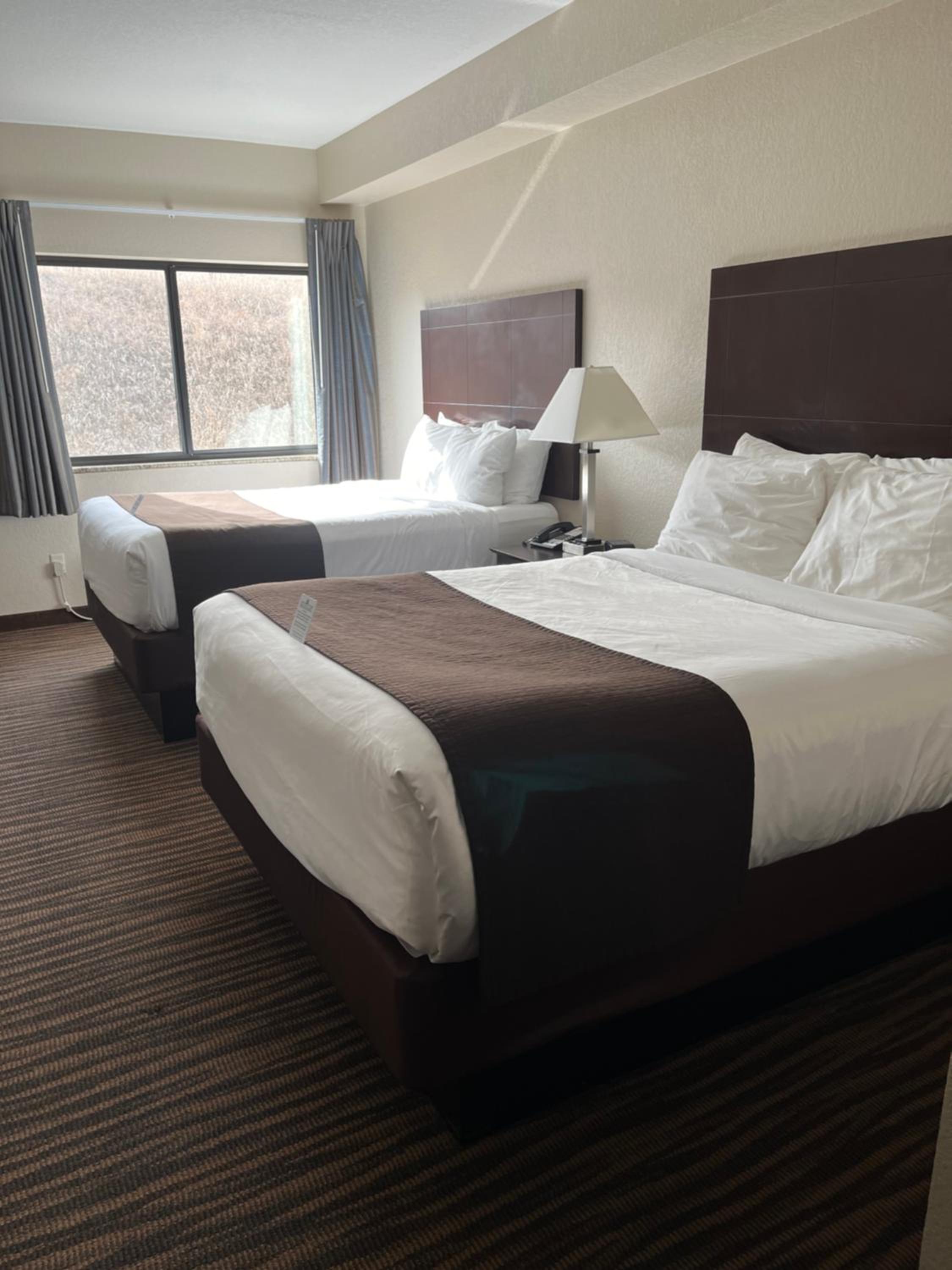 Standard Queen Room photo 1
