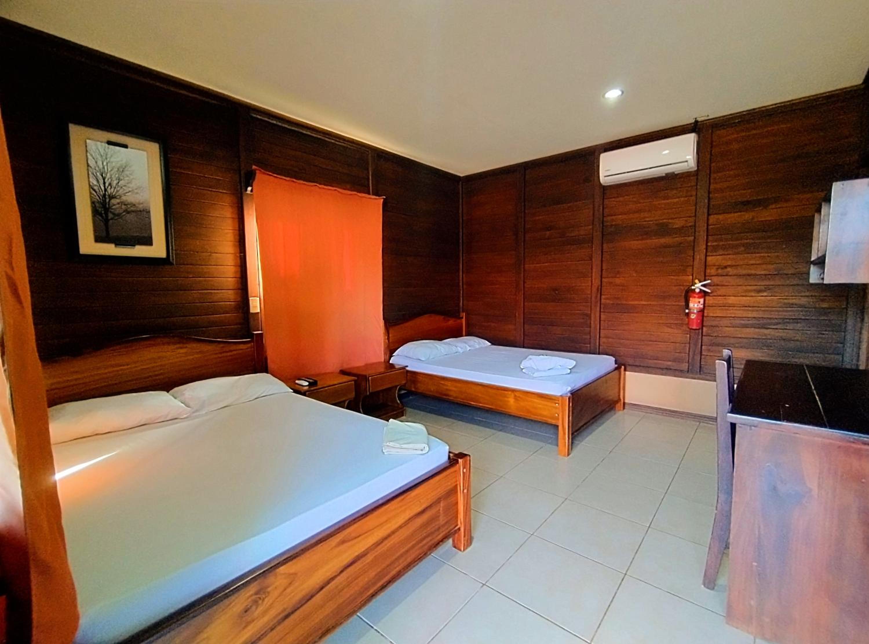 Twin Room photo 2