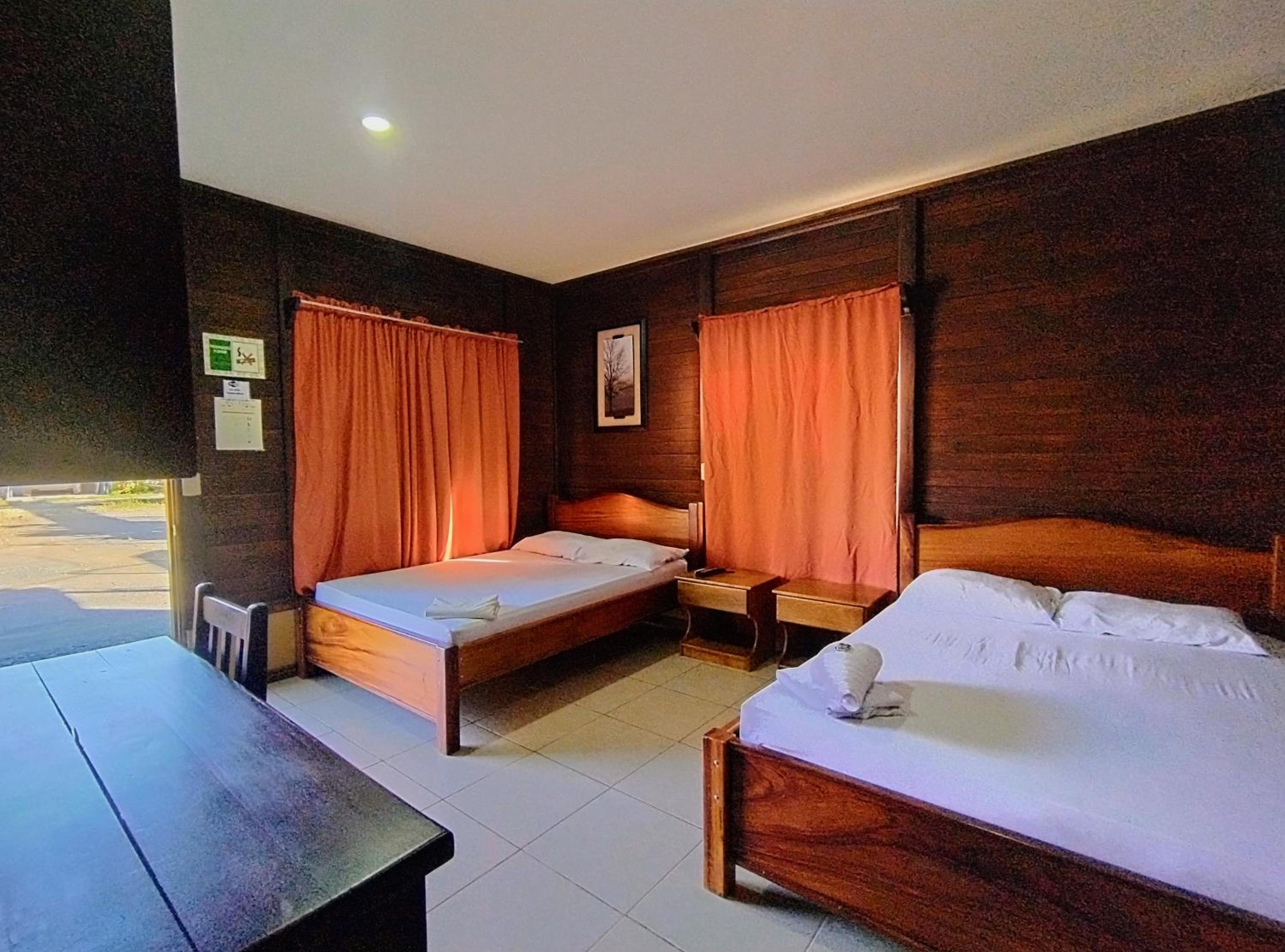Twin Room photo 1