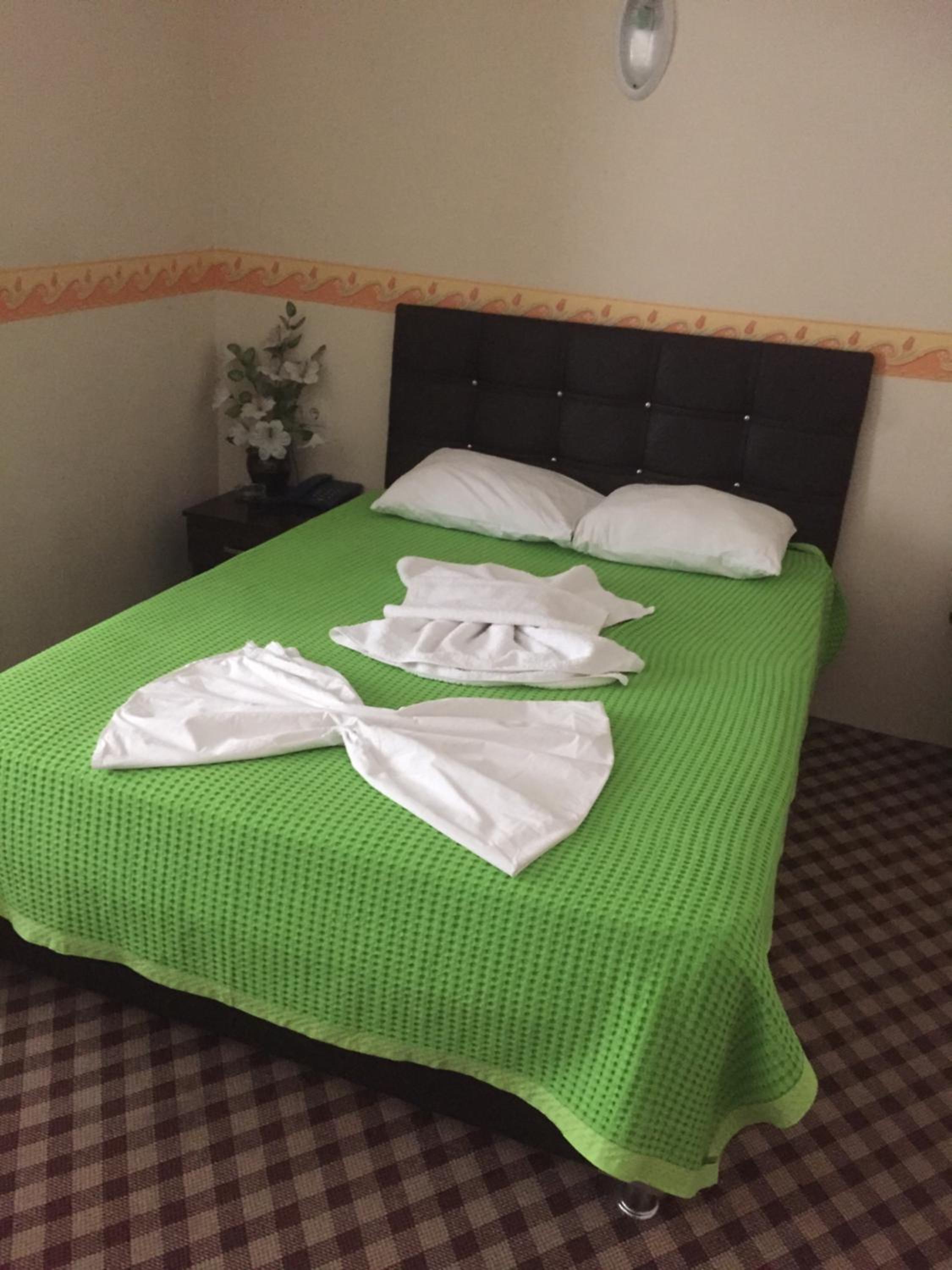 Single Room photo 1