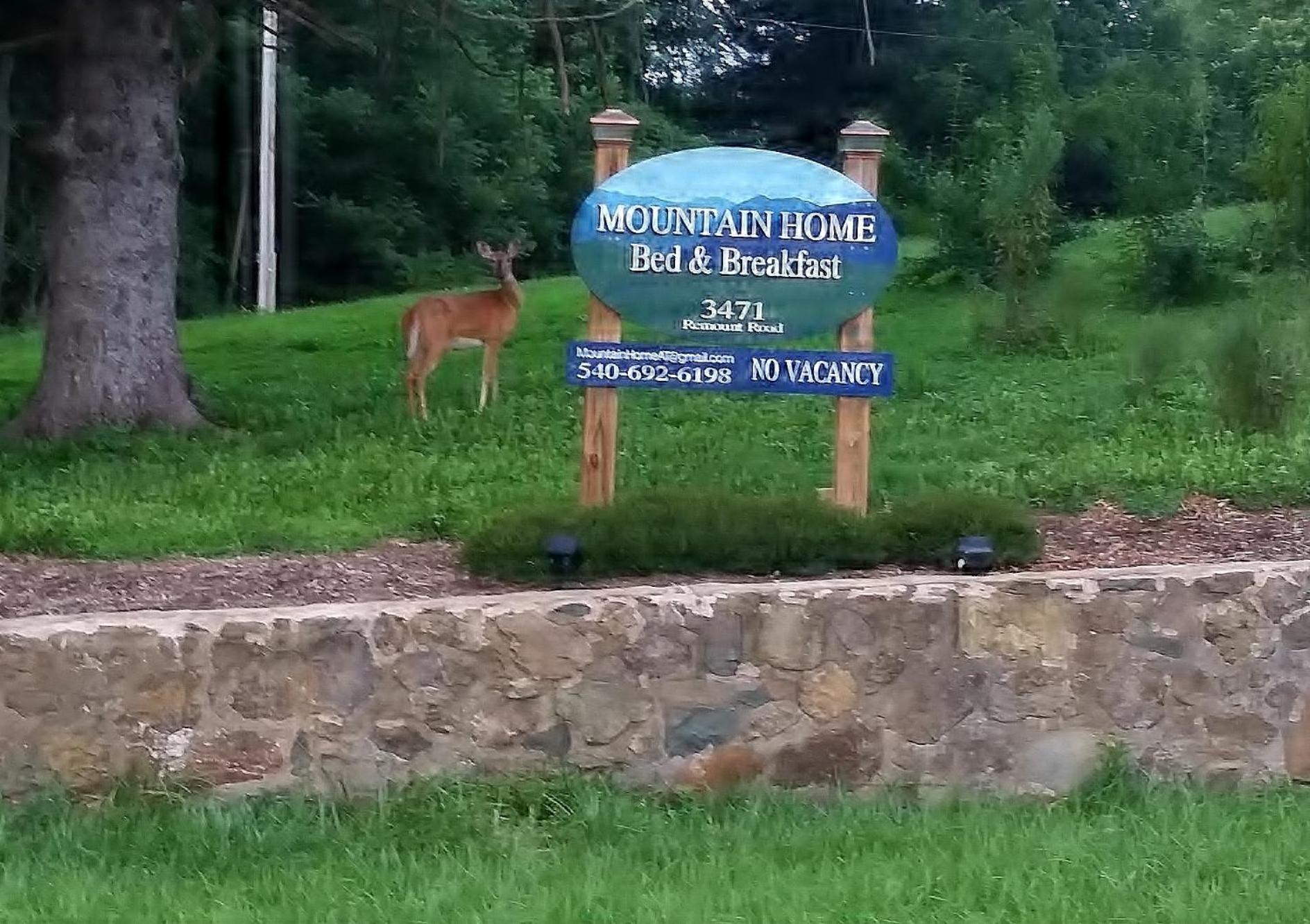 Mountain Home Bed & Breakfast, 사진 16