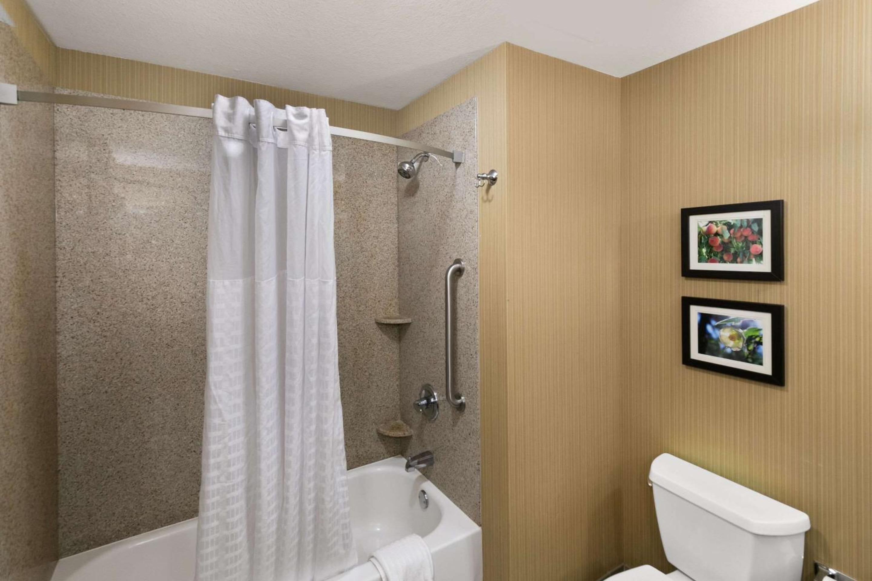 King Suite - Non-Smoking - Photo 5