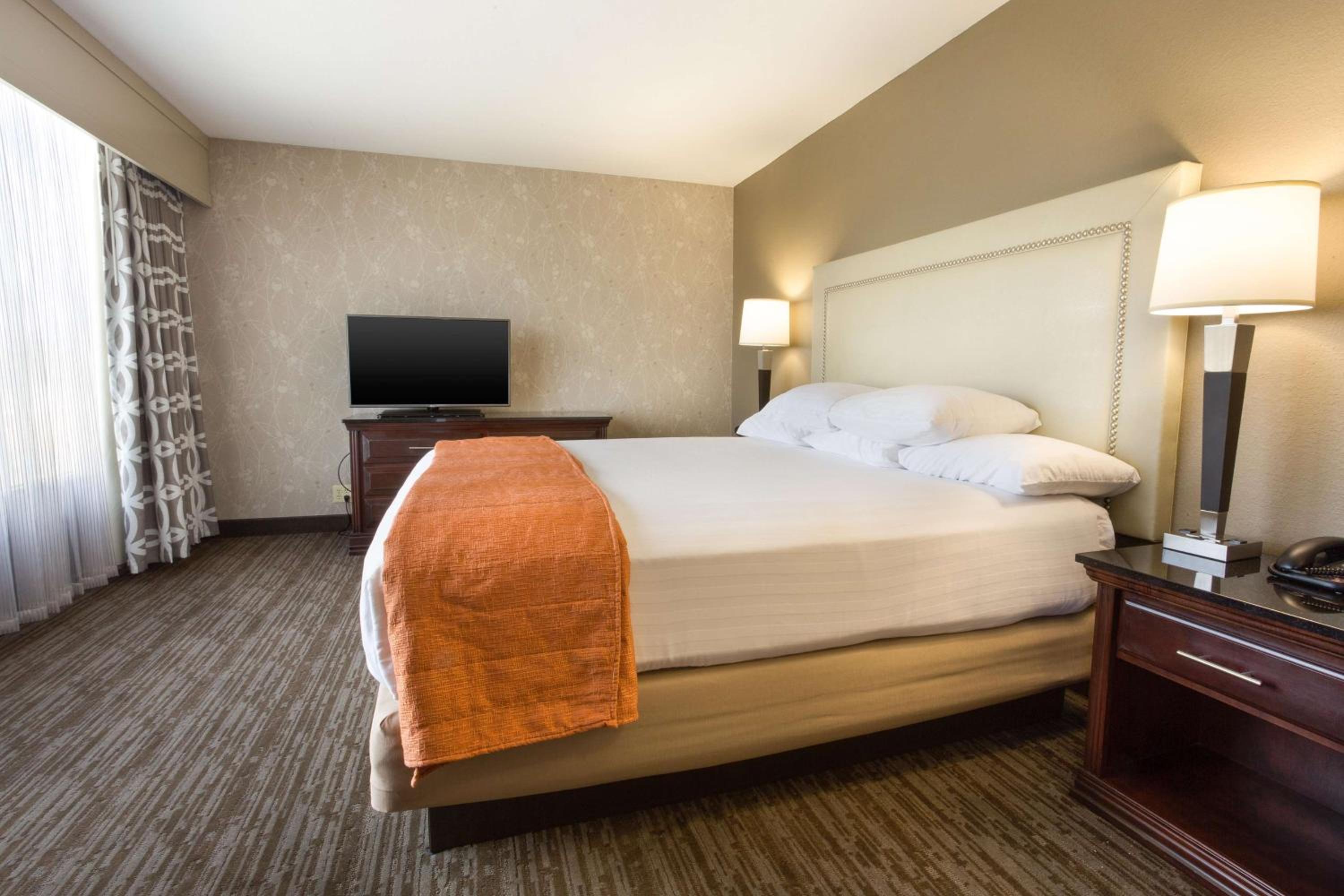 King Suite with Sofa Bed photo 3