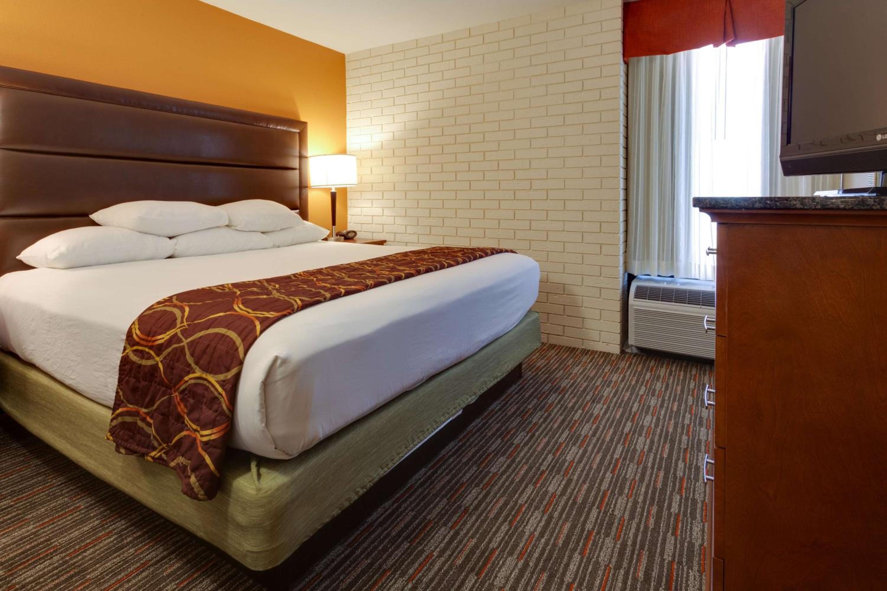 King Suite - Photo 5