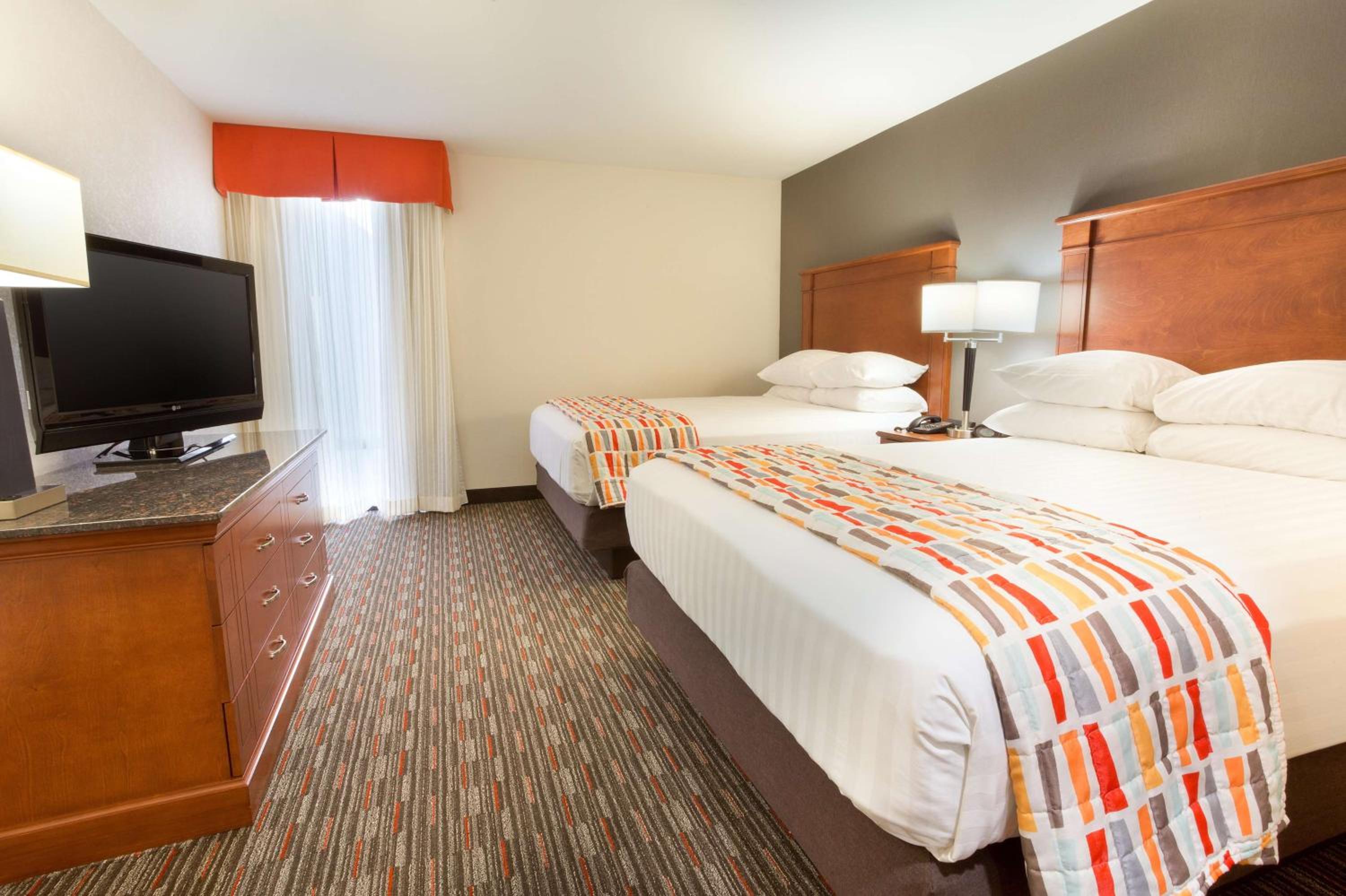 Queen Suite with Sofa Bed