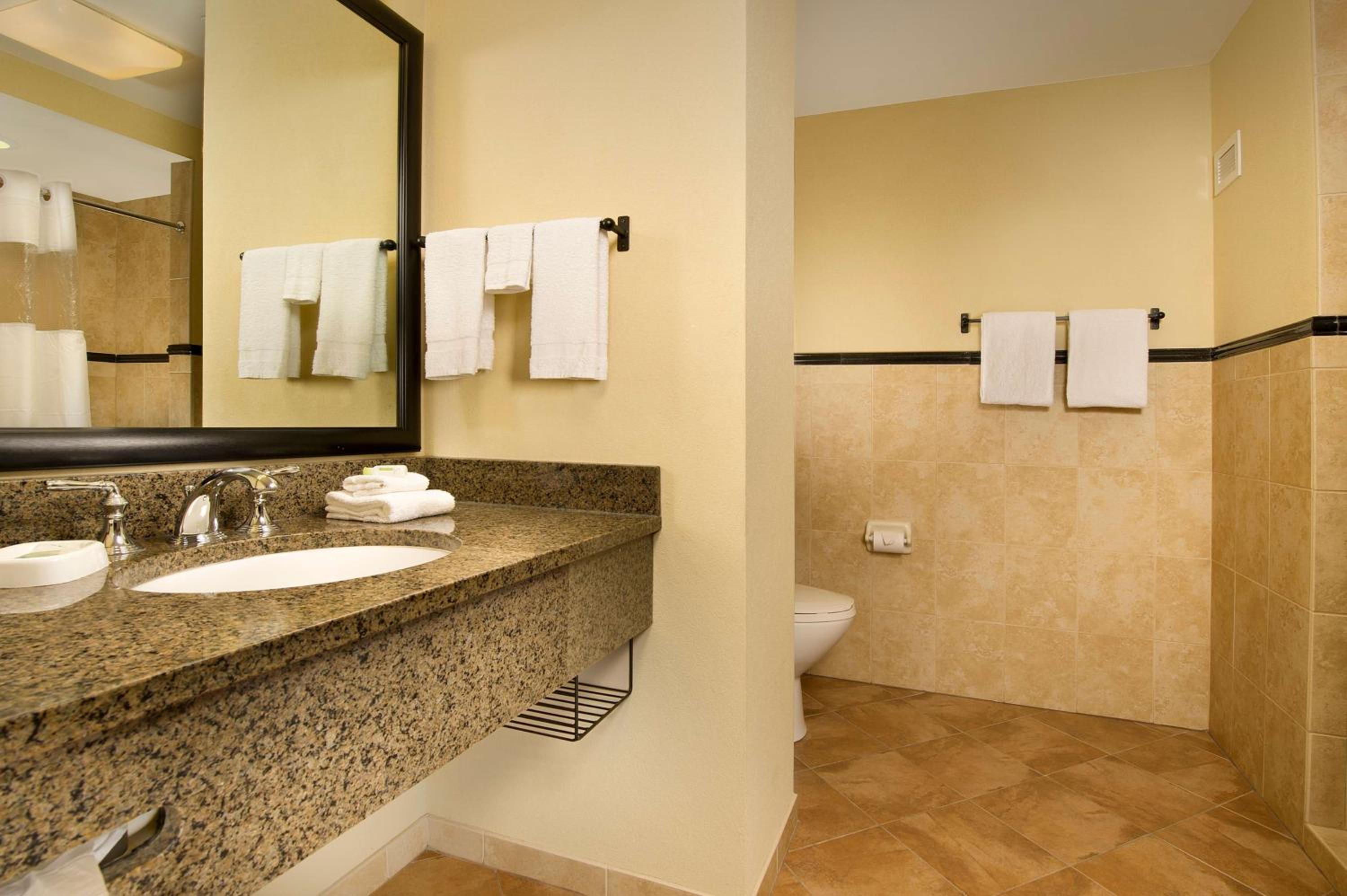 Drury Plaza Hotel San Antonio North Stone Oak, 사진 2