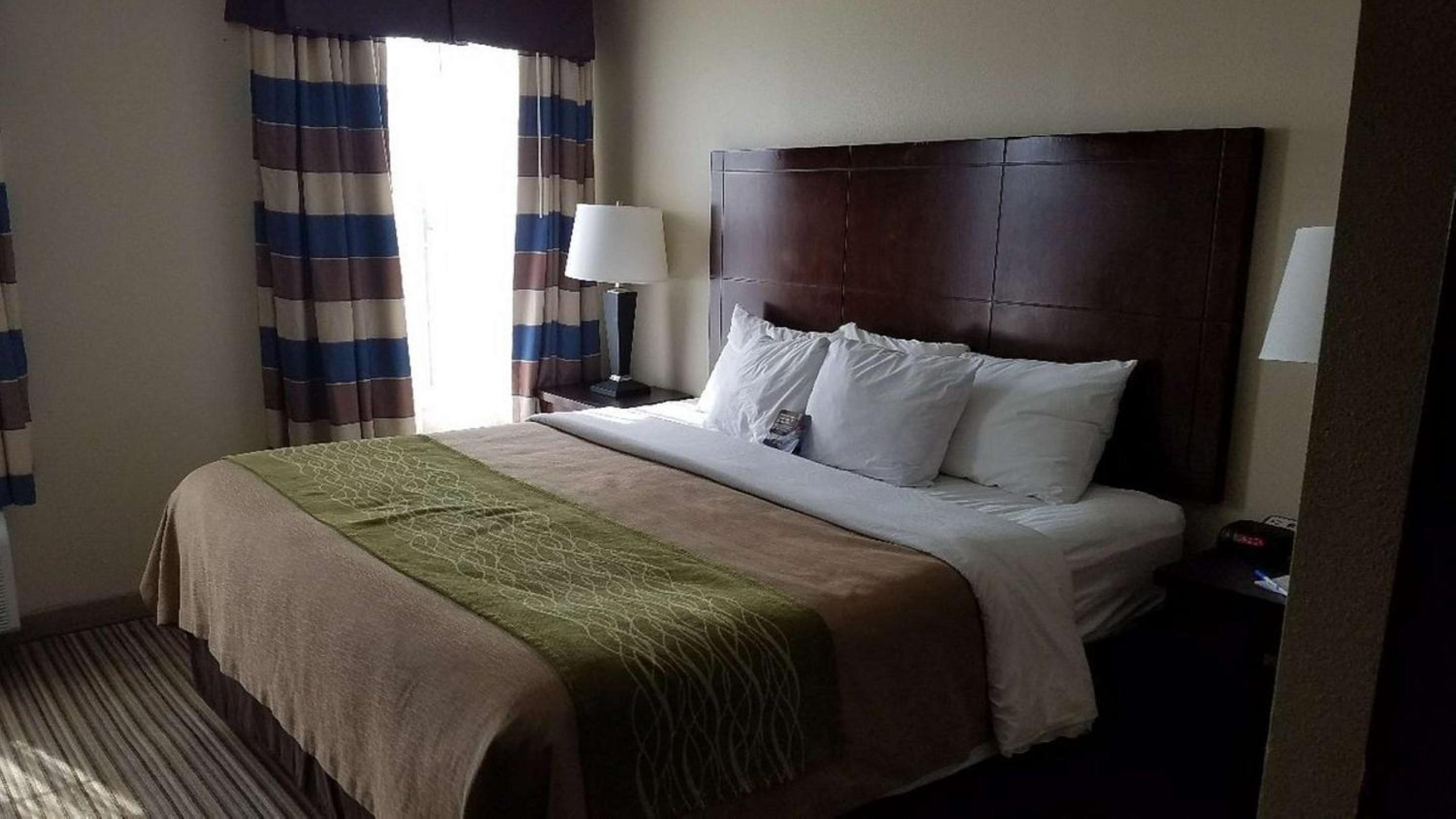 King Room photo 2