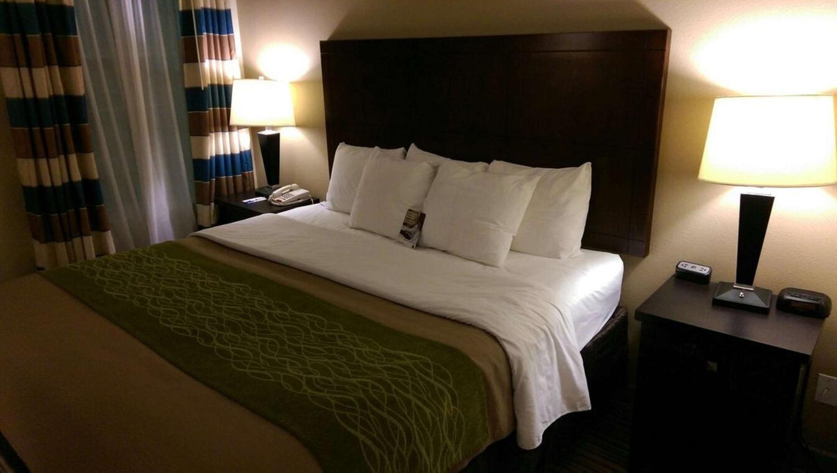 King Room photo 3