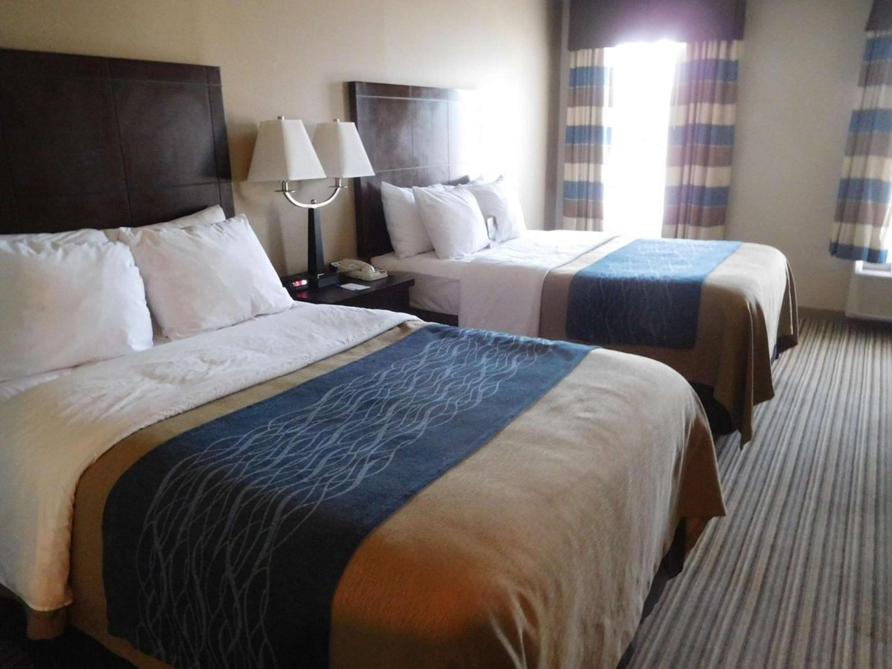 Double Room with Two Double Beds
