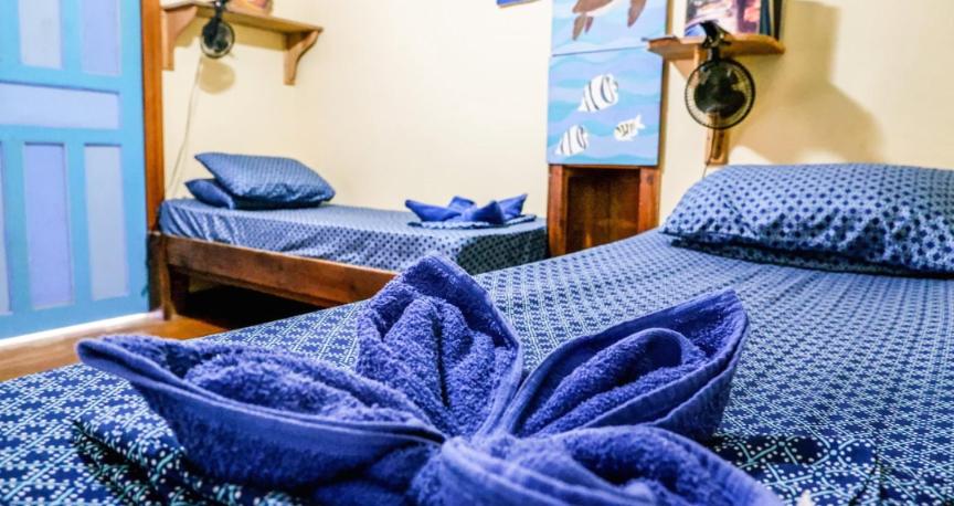 Single Bed in Mixed Dormitory Room photo 1
