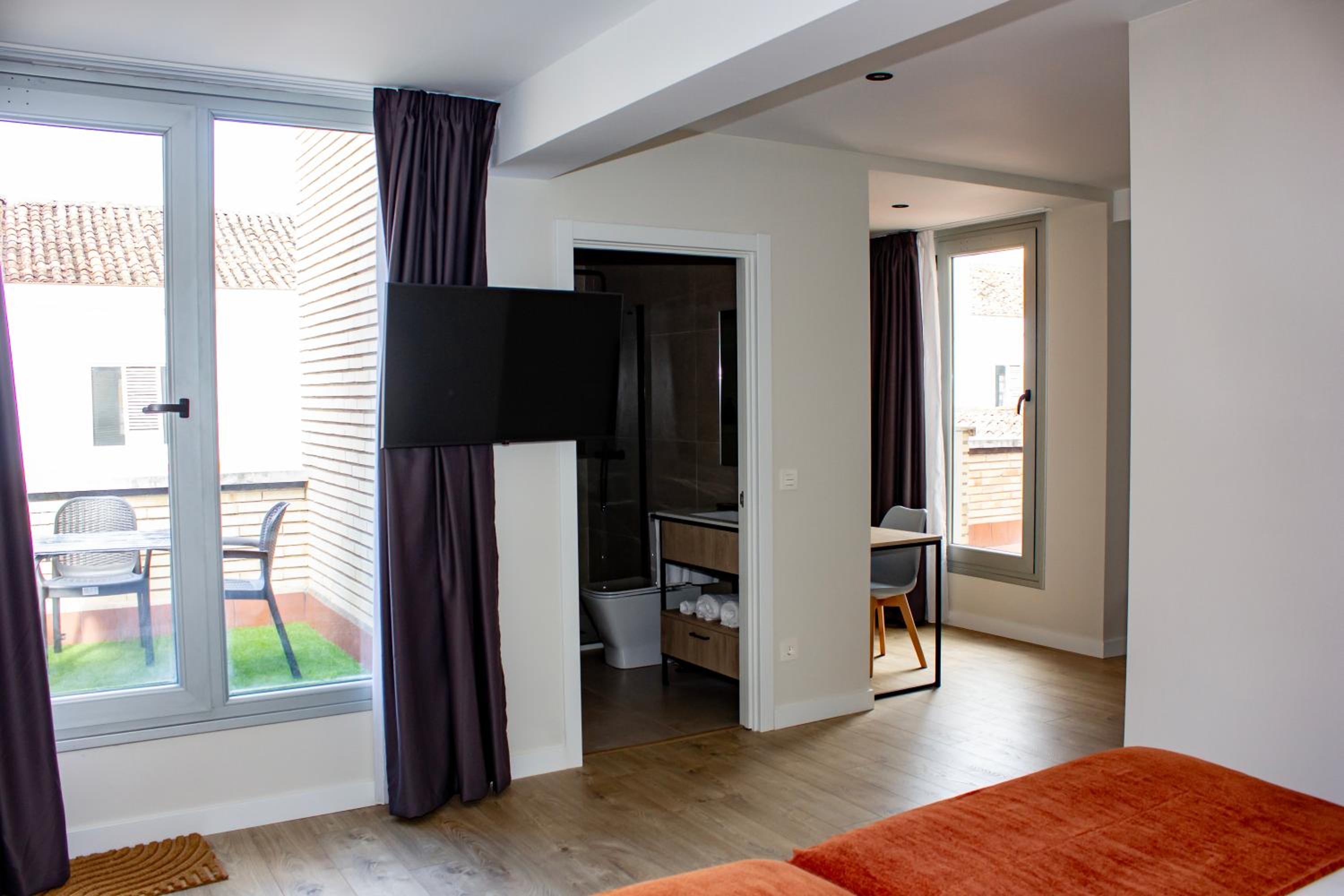 One-Bedroom Apartment with Terrace photo 3